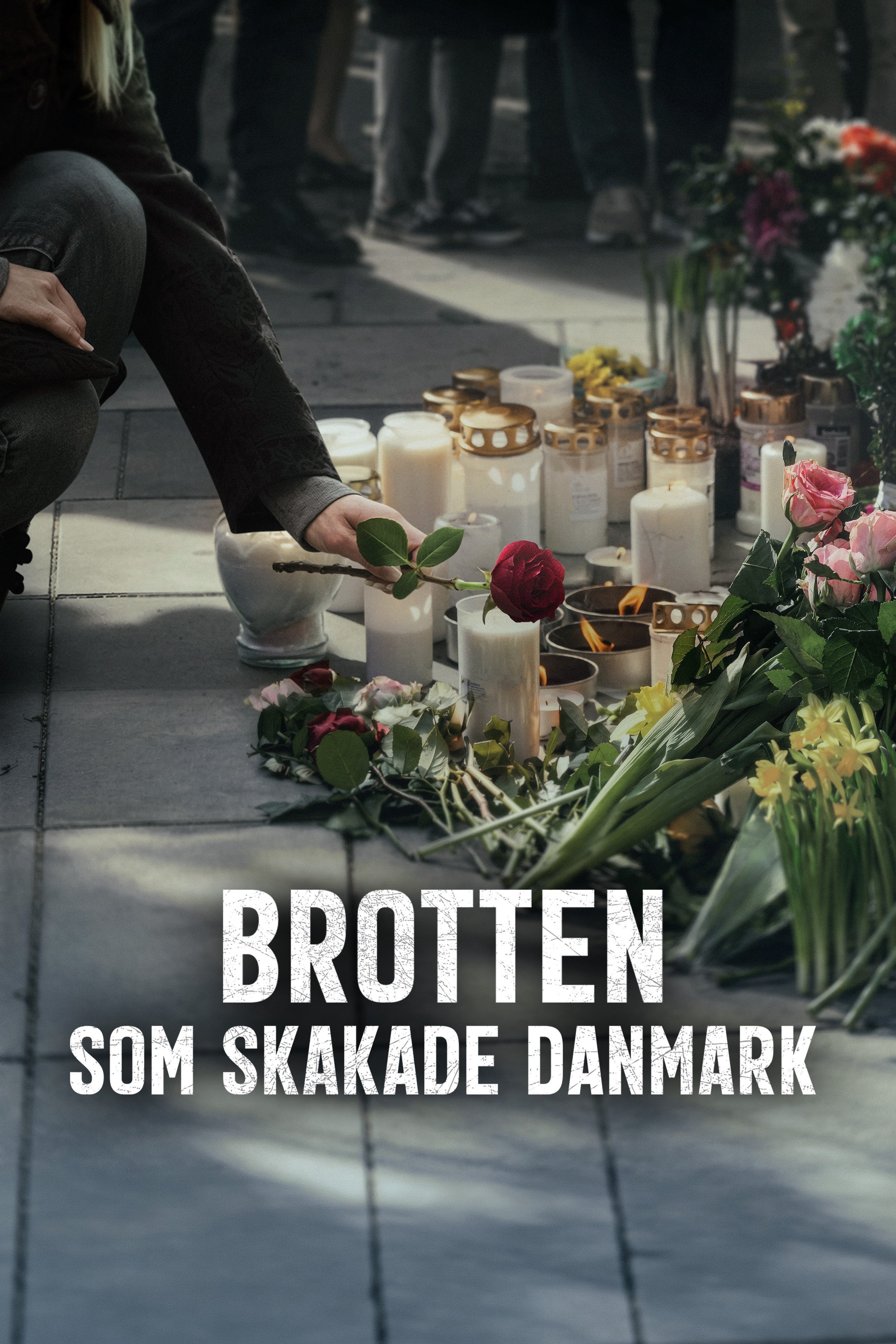 Brotten som skakade Danmark