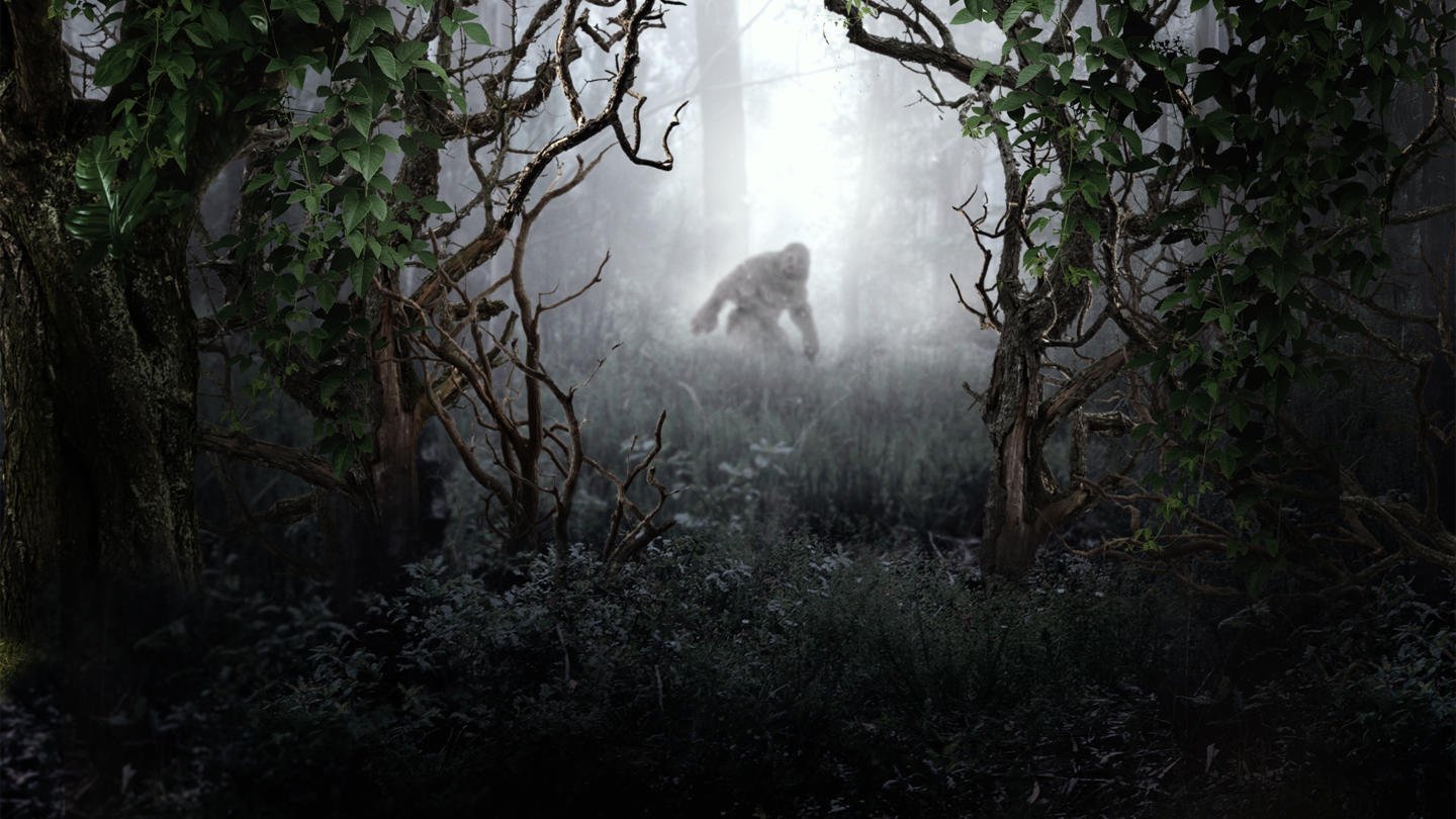 The Best of MonsterQuest