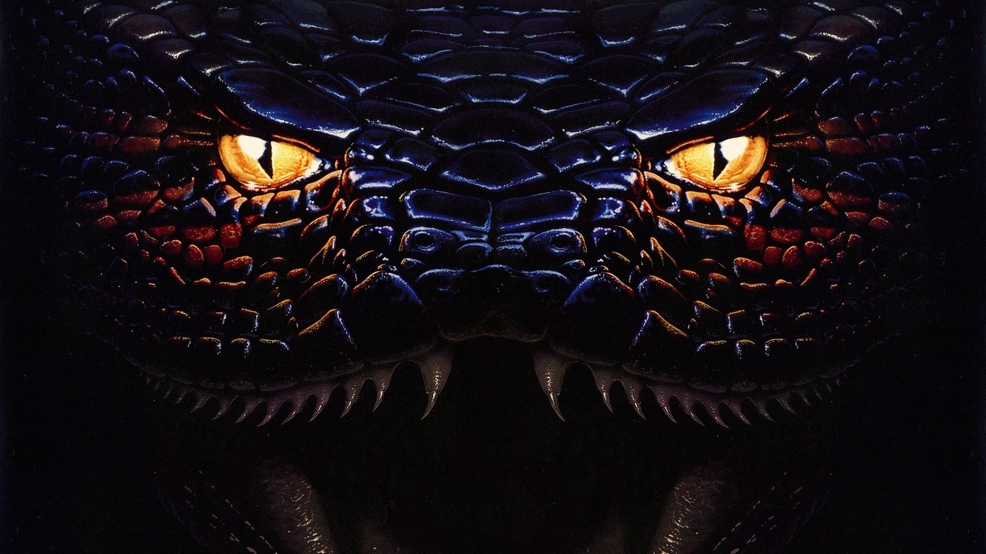 Anaconda