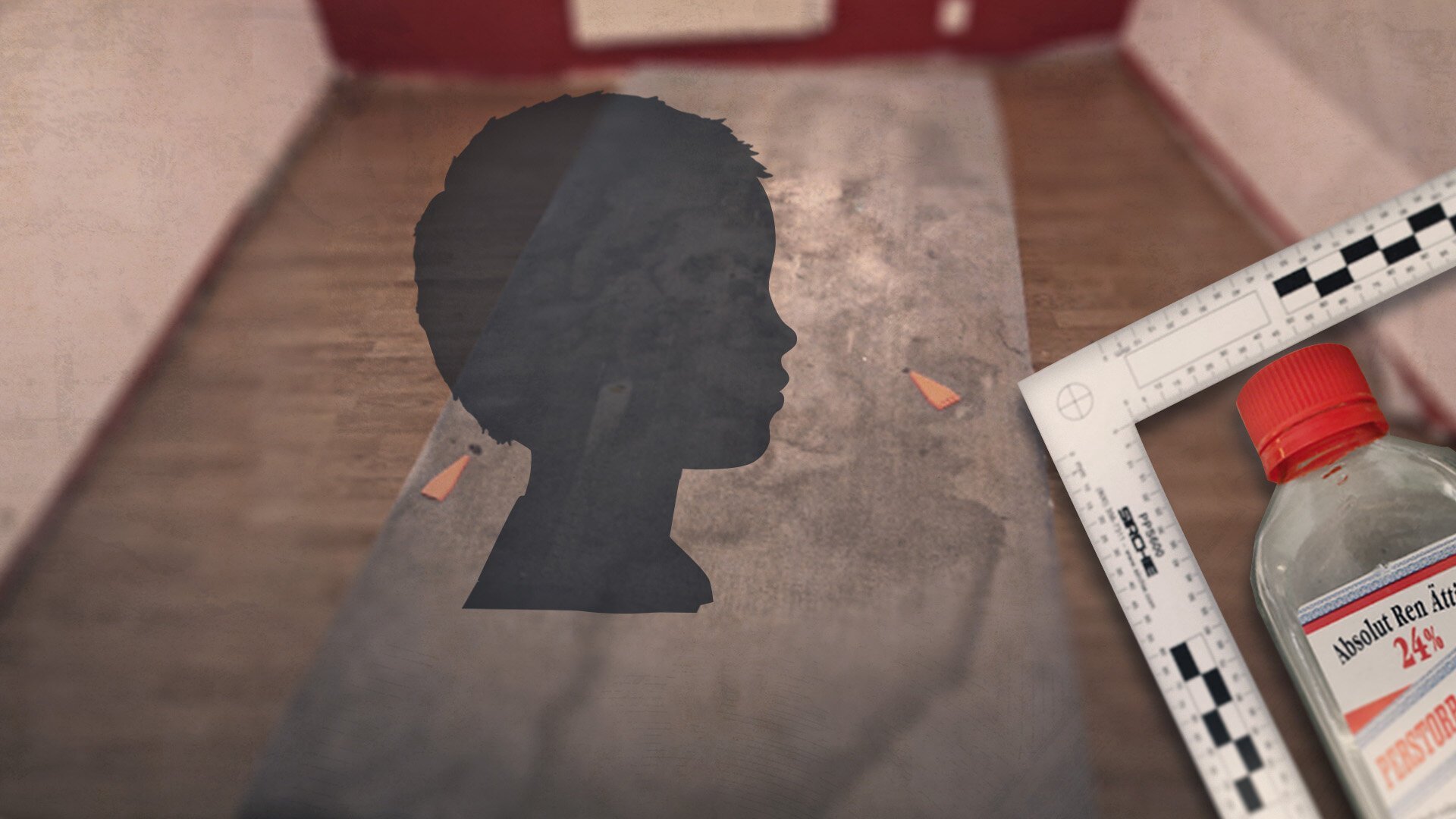 Ättiksfallet - flickan och förhören