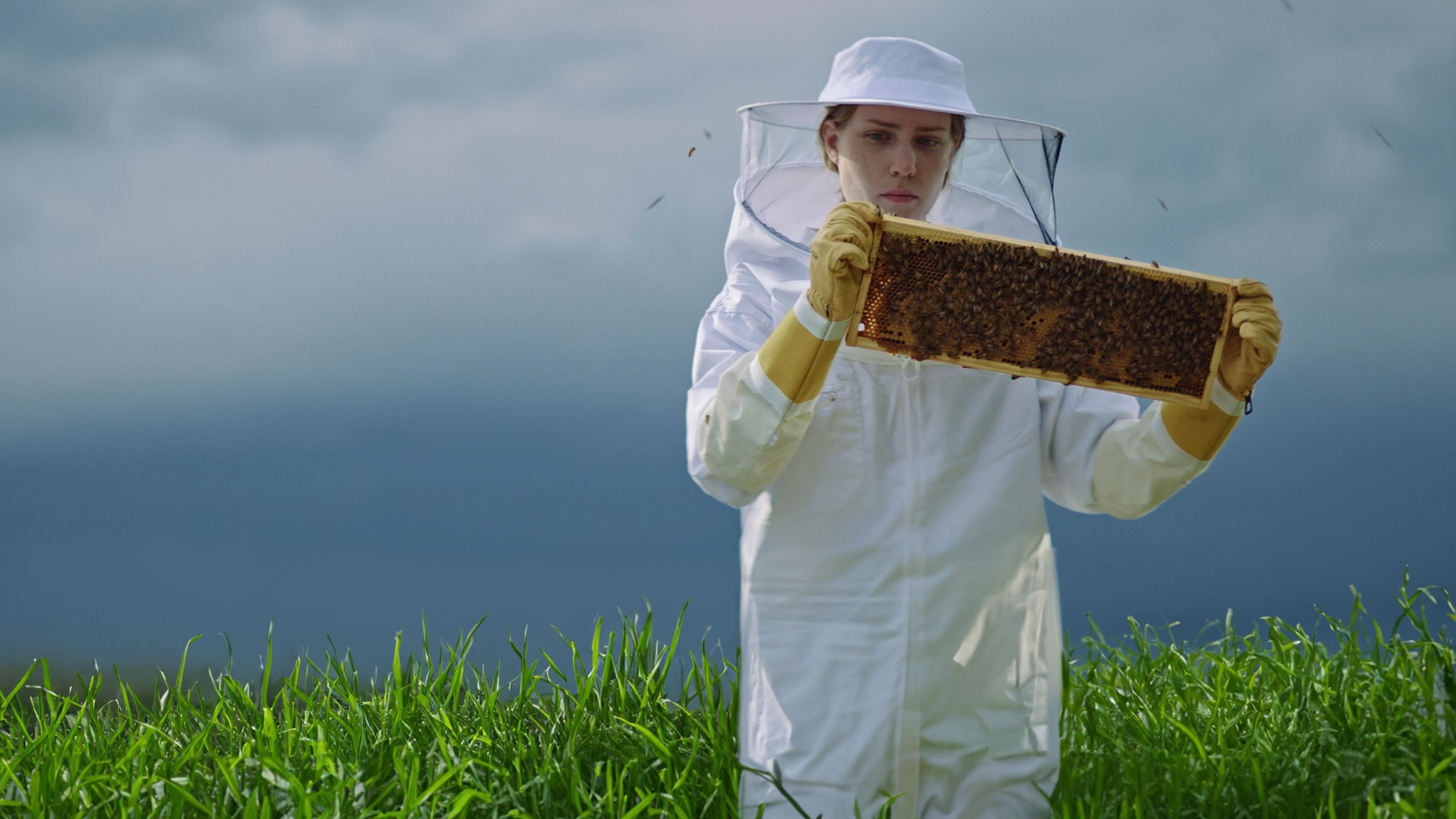 Summer of Bees