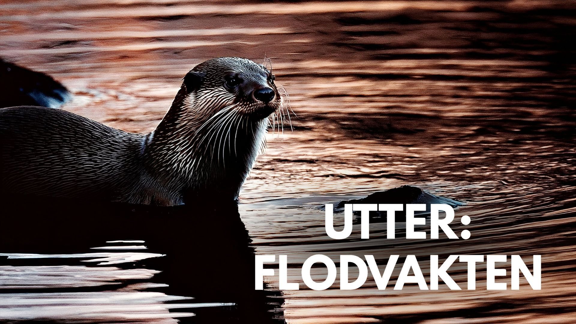 Utter: Flodvakten