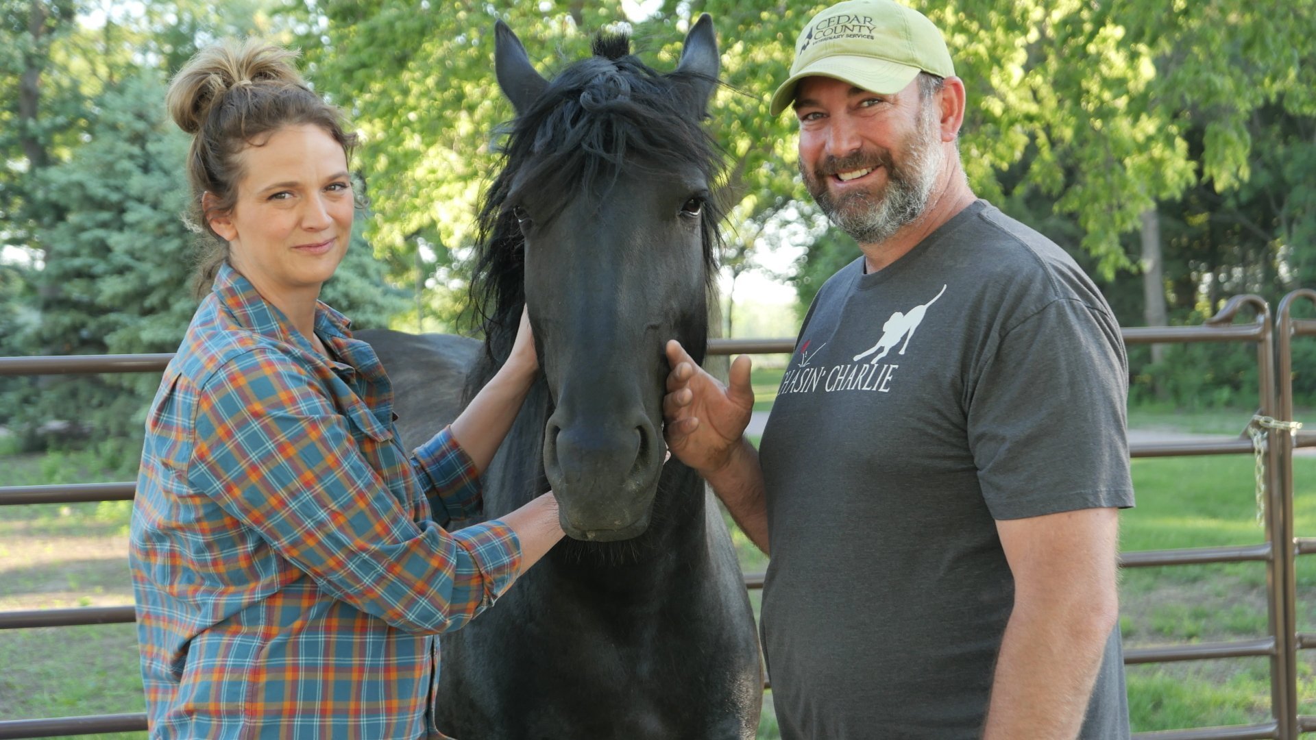 11. Hjärta och föl