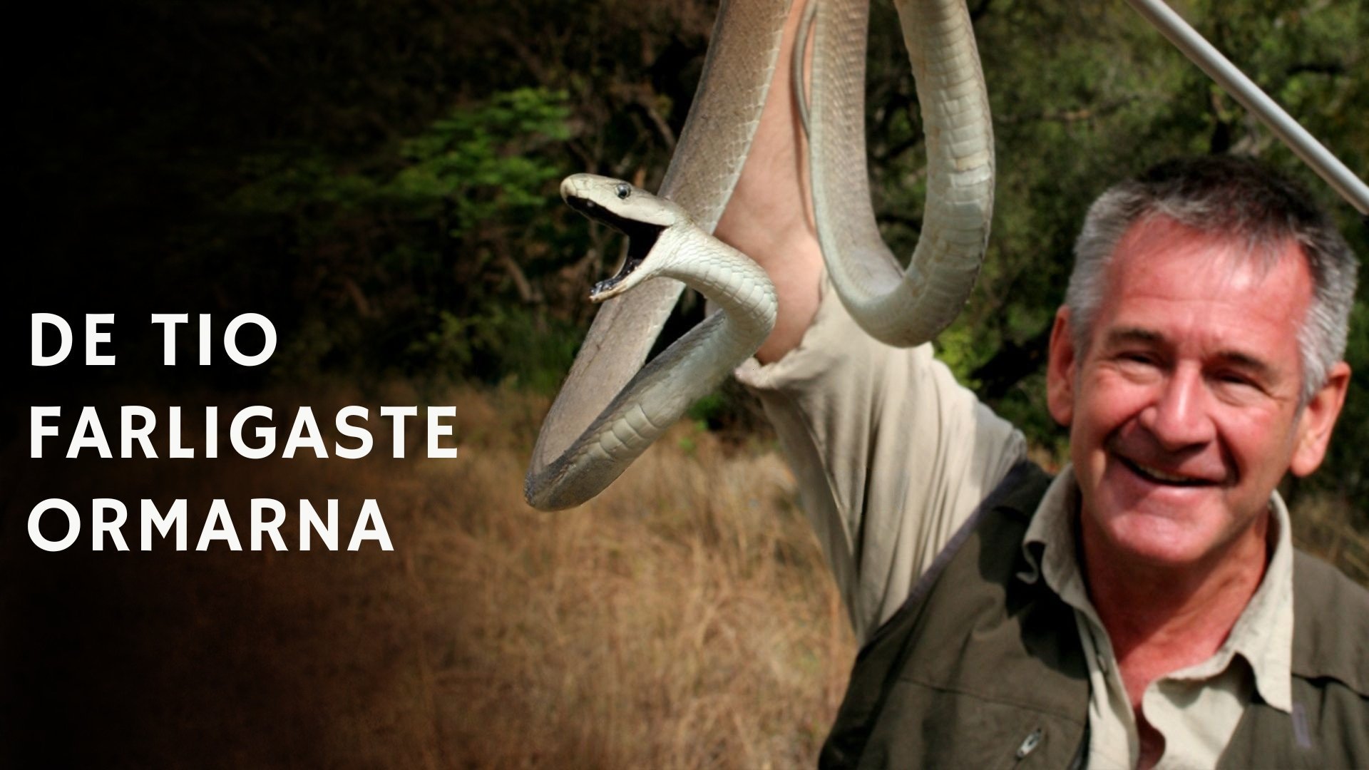 De tio farligaste ormarna