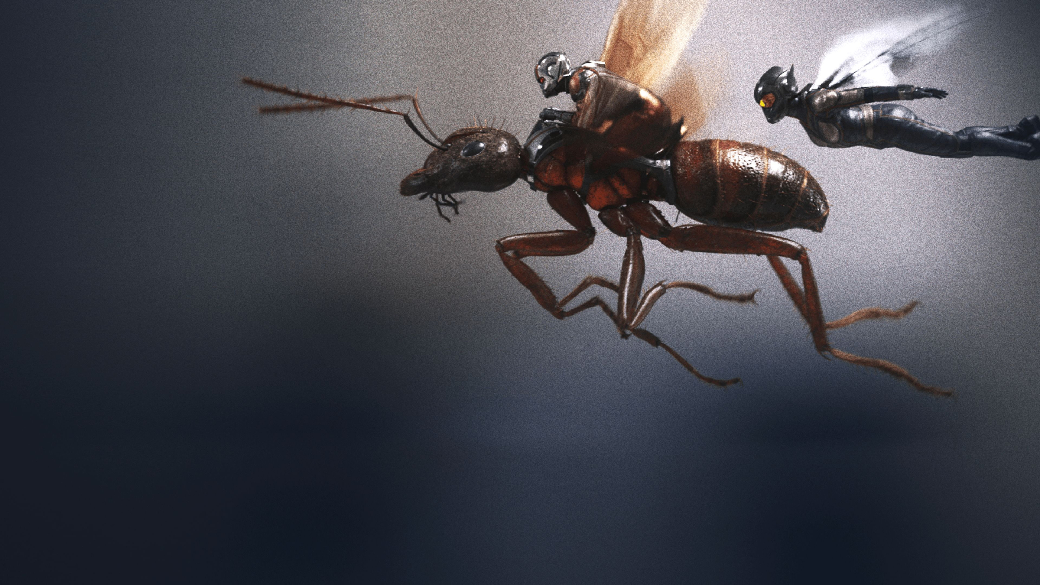 Ant-Man and the Wasp