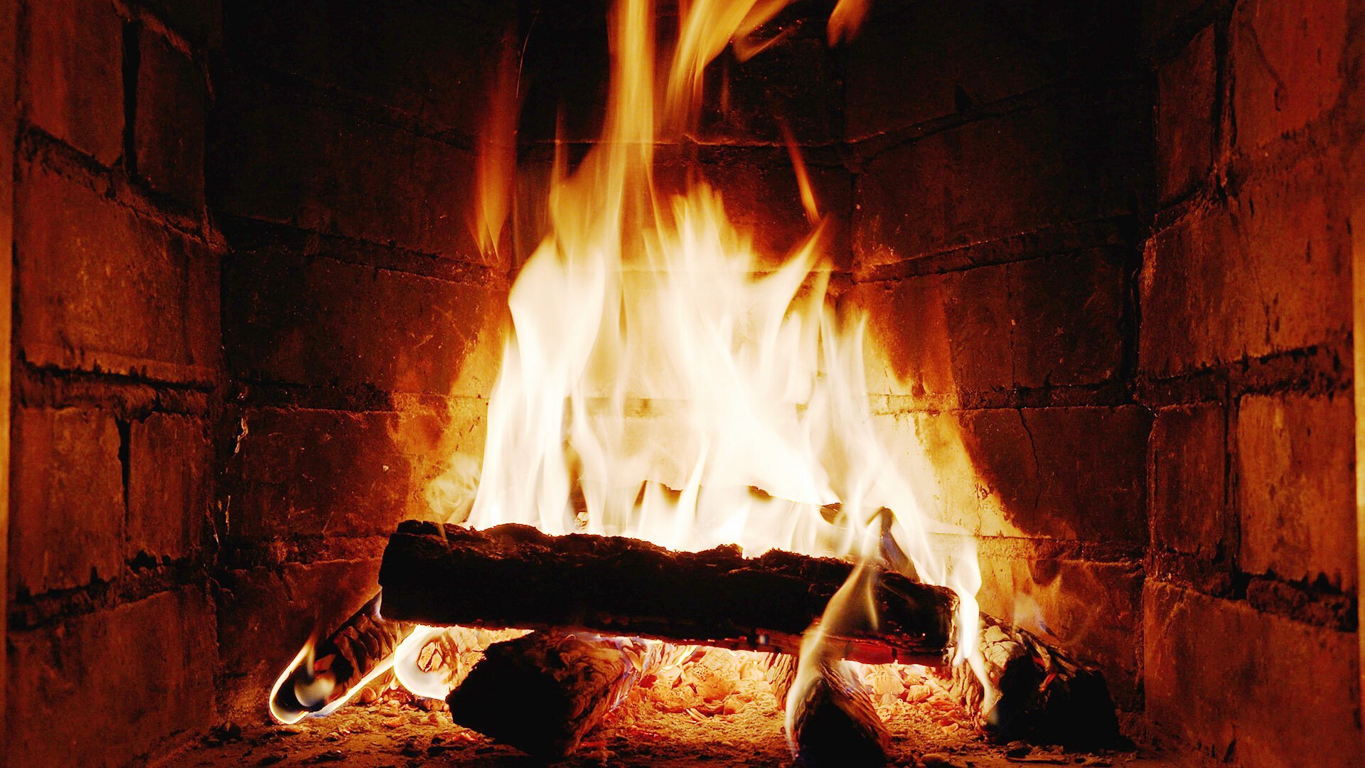 Brasa
