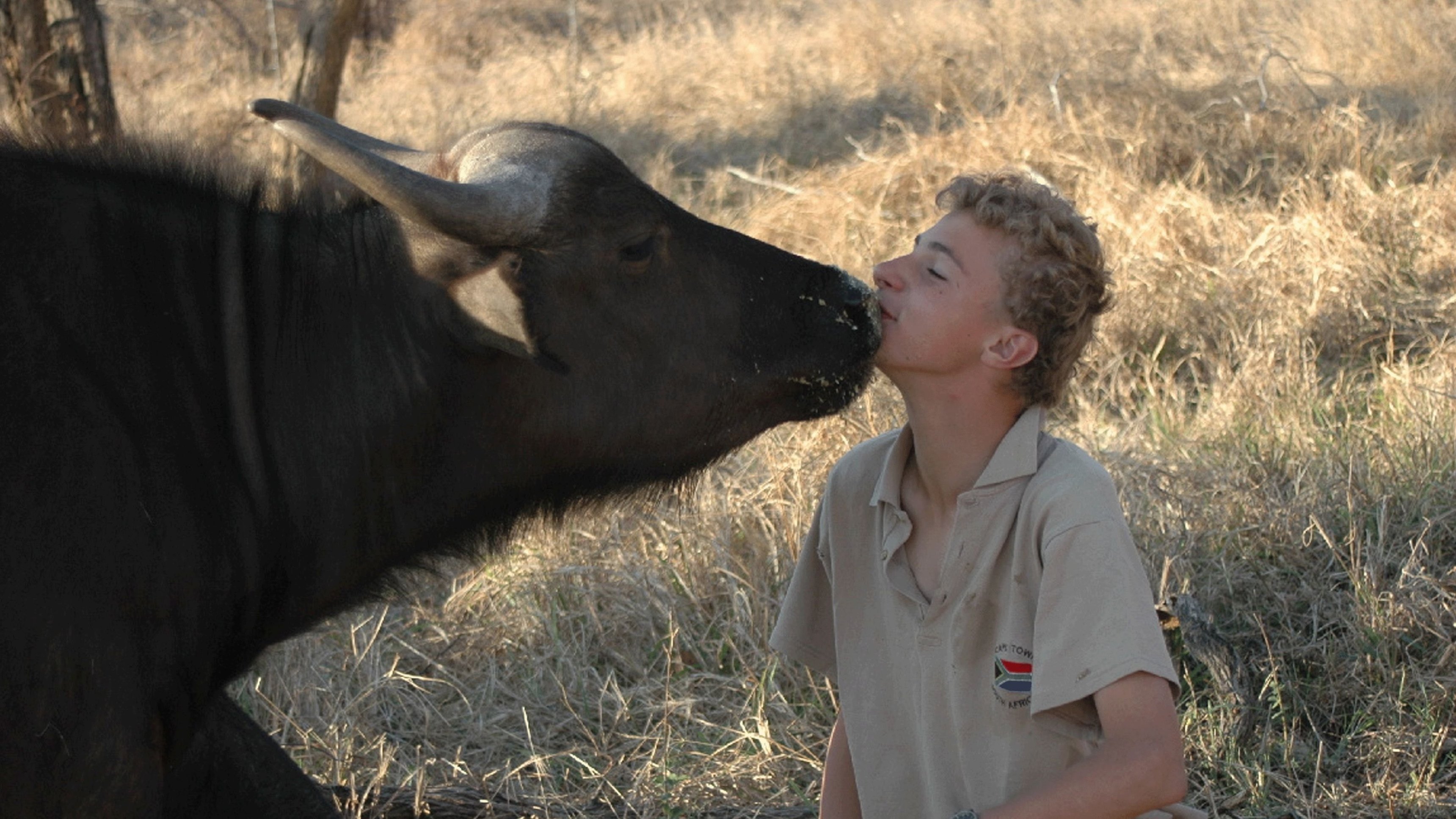 4. Man's Other Best Friend