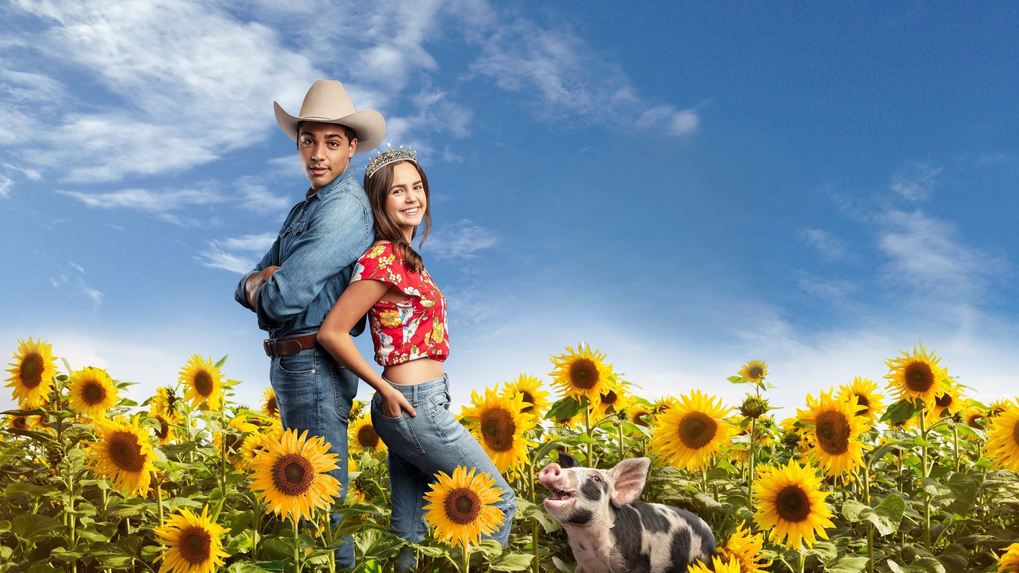 A Cinderella Story: Starstruck