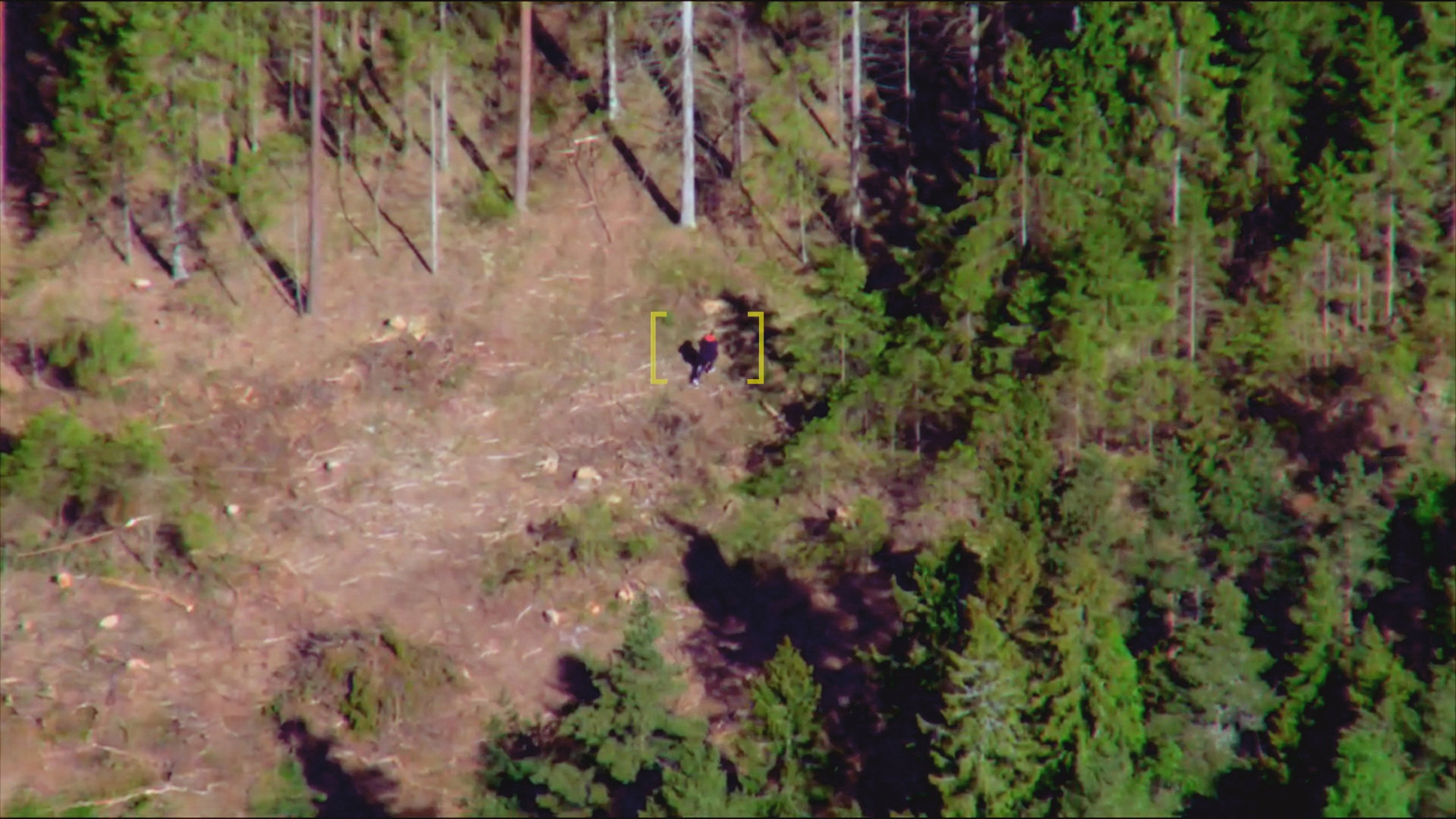 4. Biljakt slutar i skogen