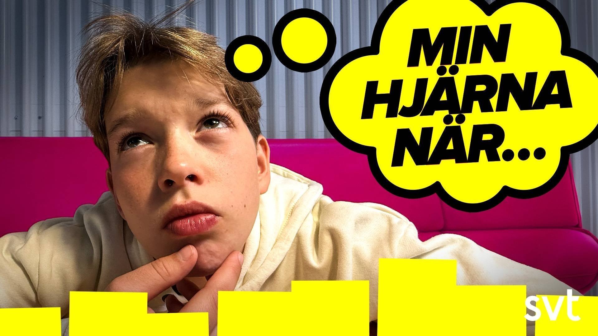 86. Min hjärna när...