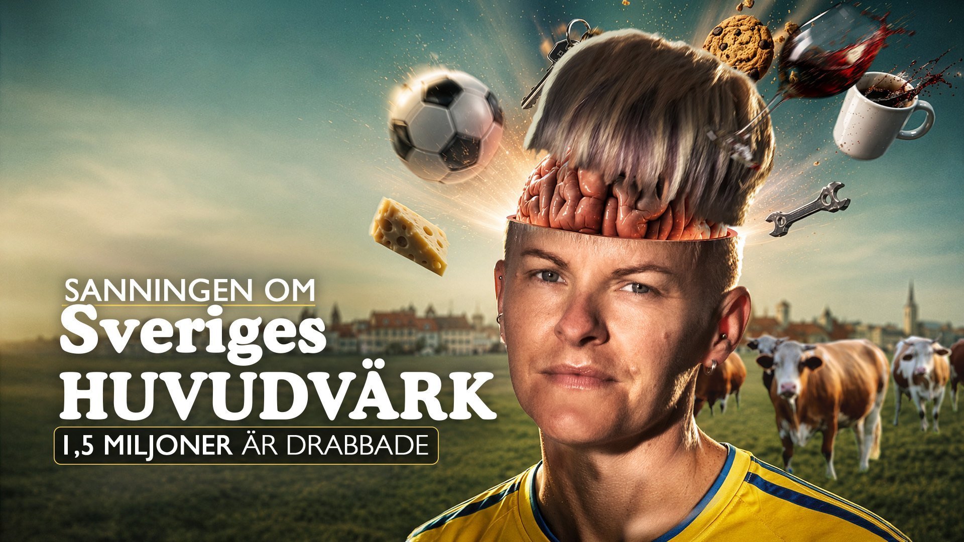 Sanningen om Sveriges huvudvärk