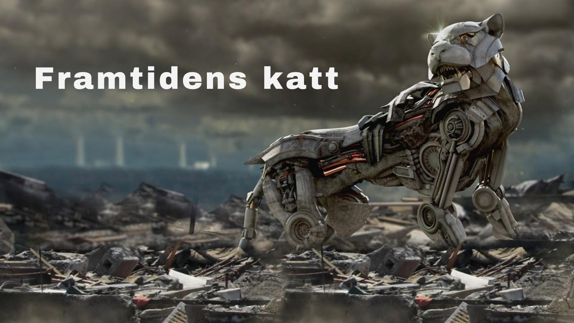 Framtidens katt