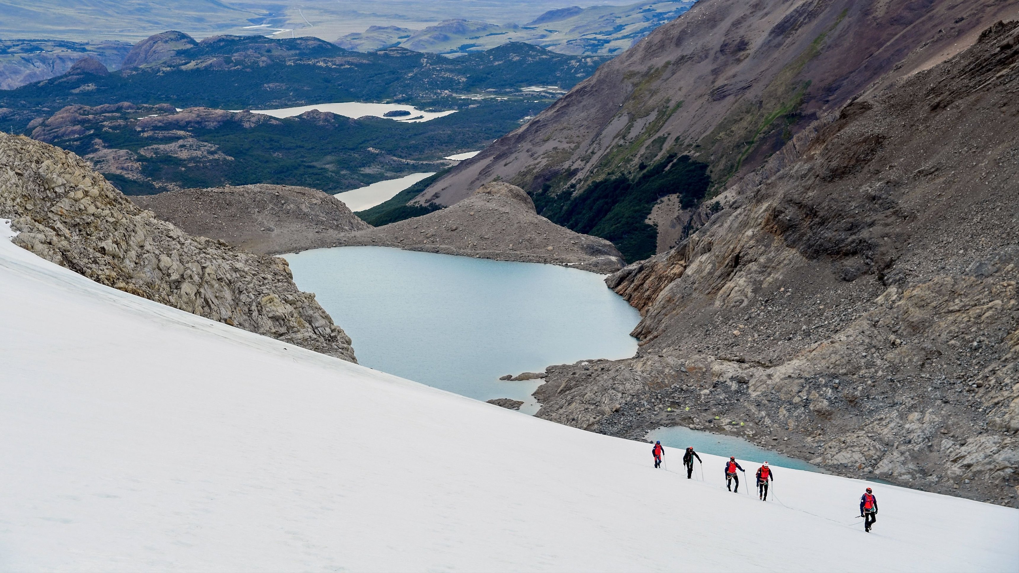Patagonia Wings