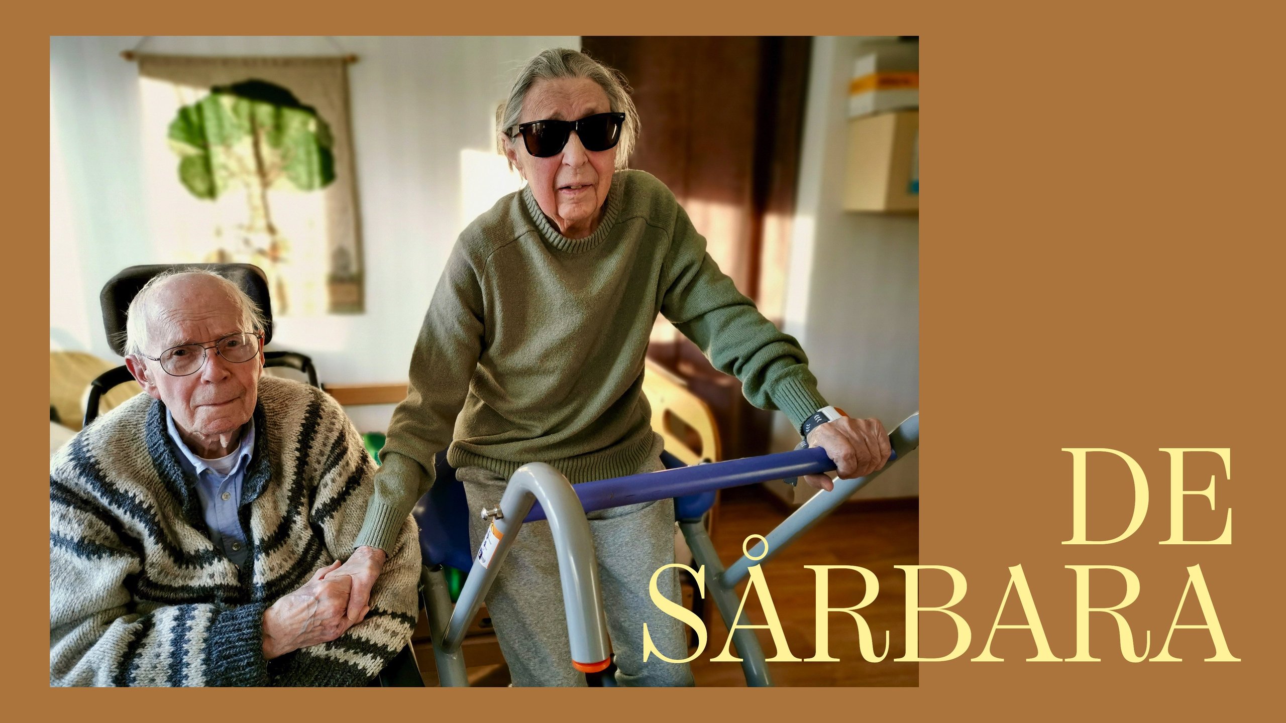 De sårbara