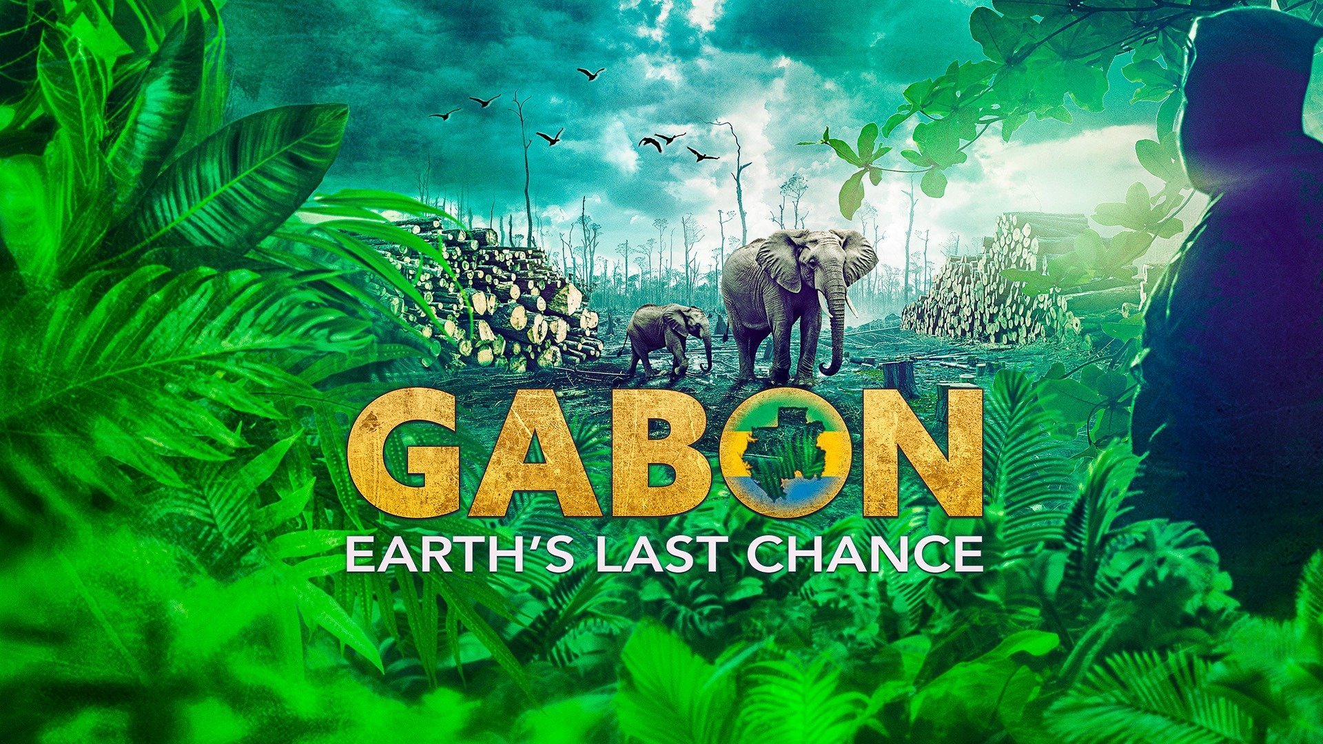 Gabon: Wildlife Warriors