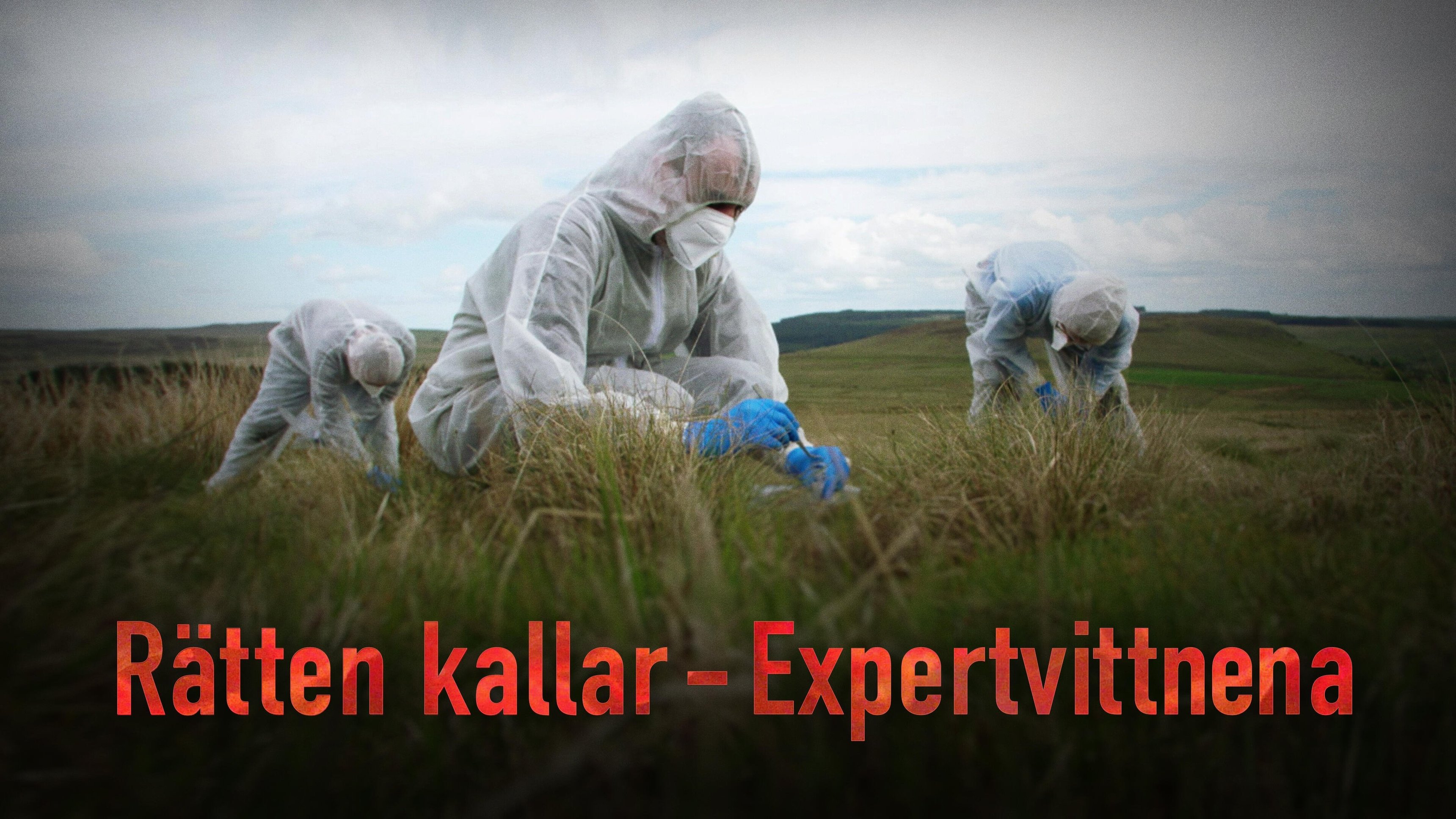 Rätten kallar - Expertvittnena