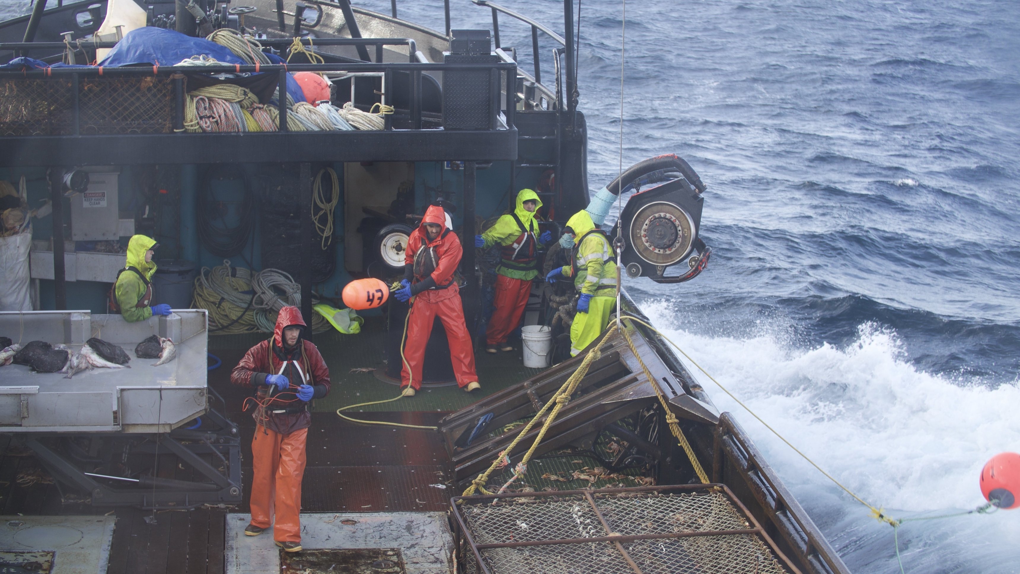 16. Greenhorn Overboard