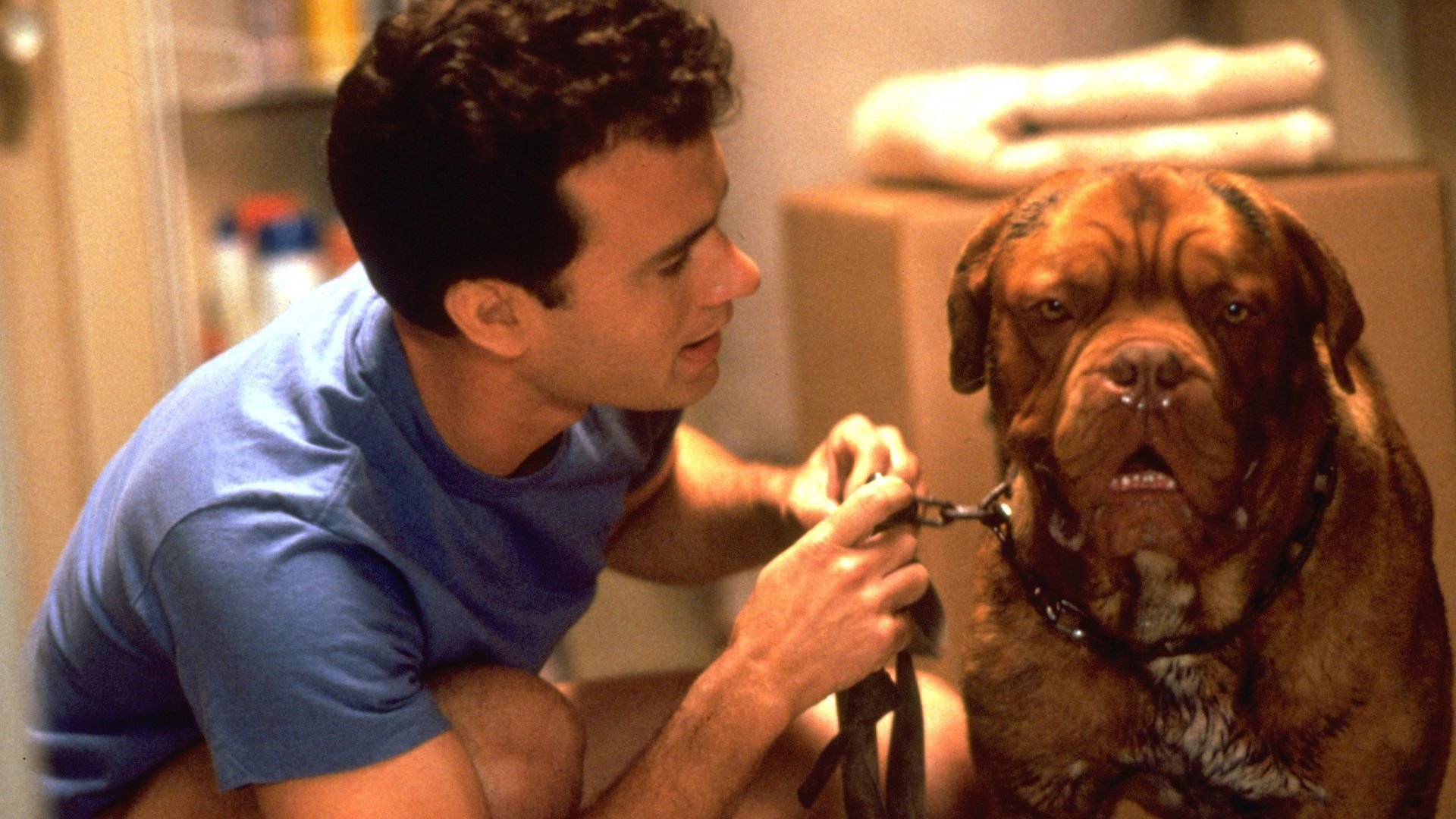 Turner Hooch