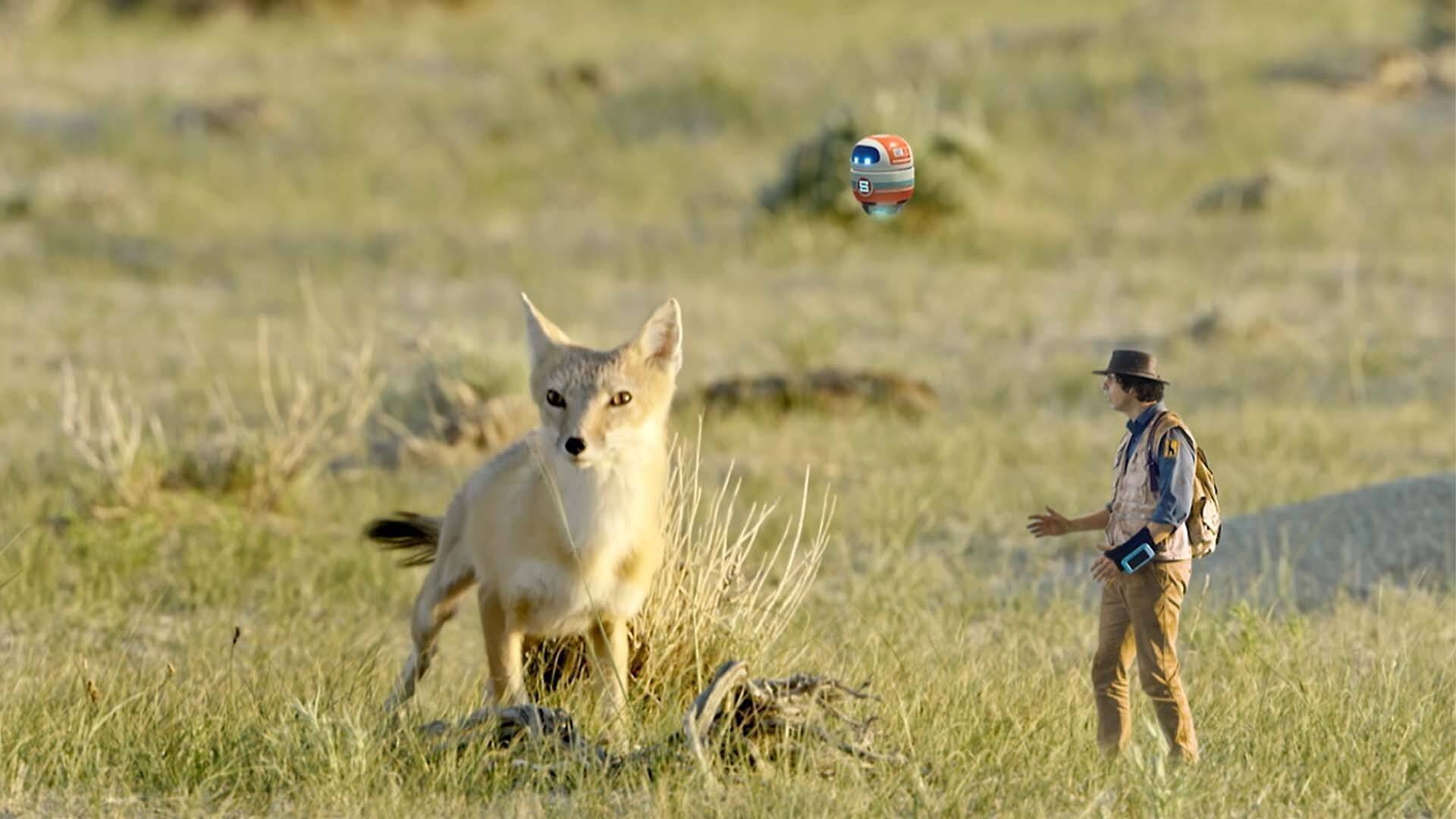 9. Andy och präriekatträv-ungarna