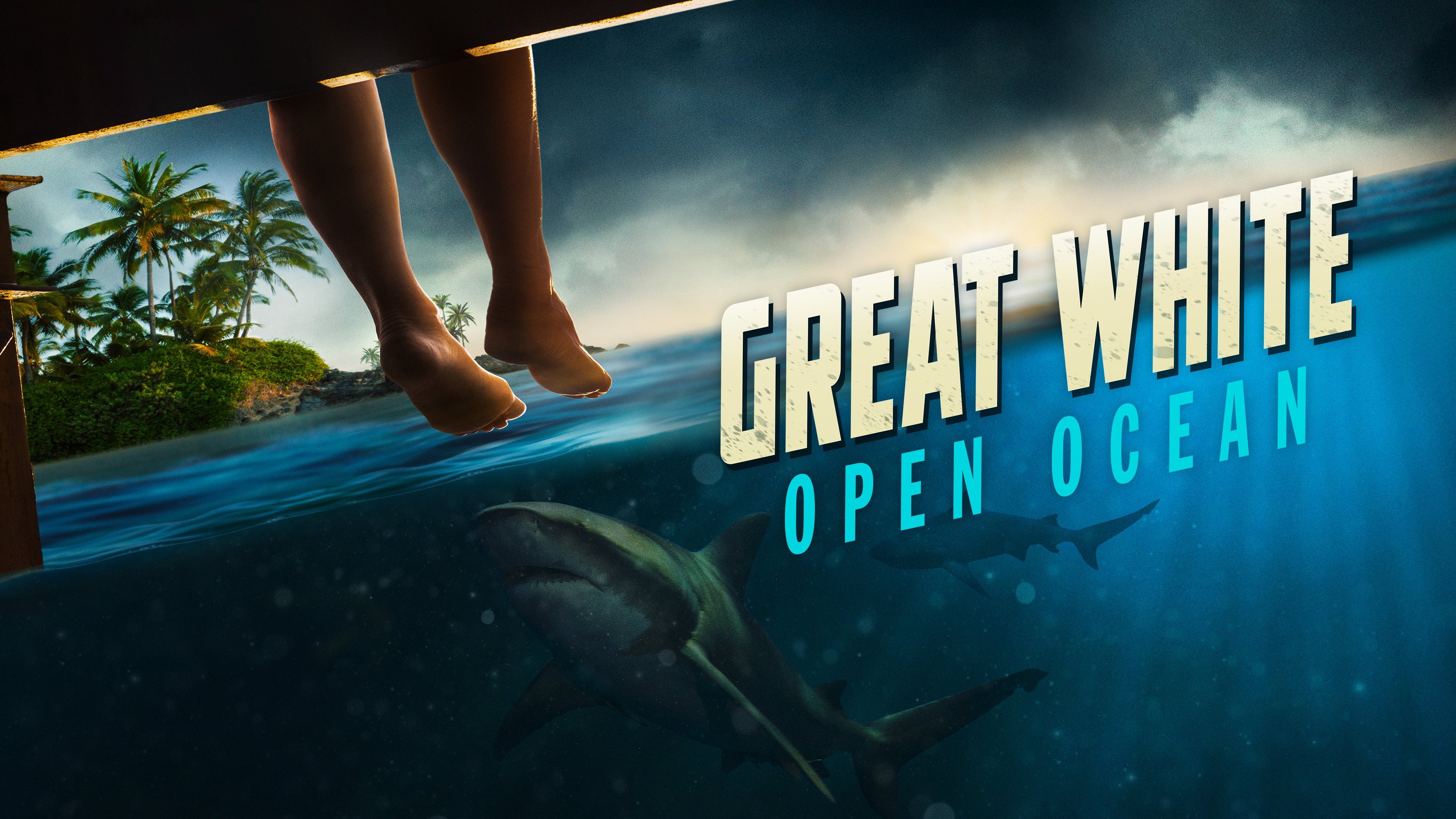 Great White Open Ocean