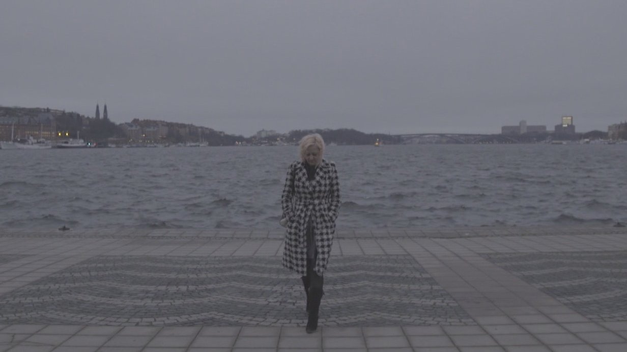 I Sverige finns inga horor