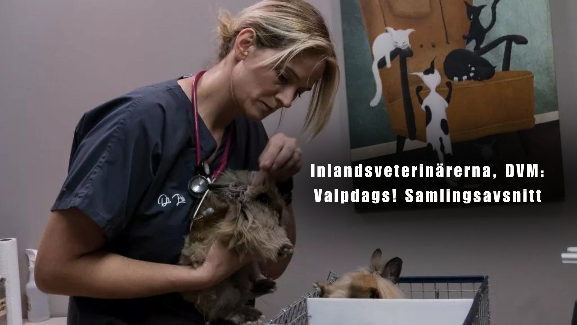 Inlandsveterinärerna, DVM: Valpdags! Samlingsavsnitt