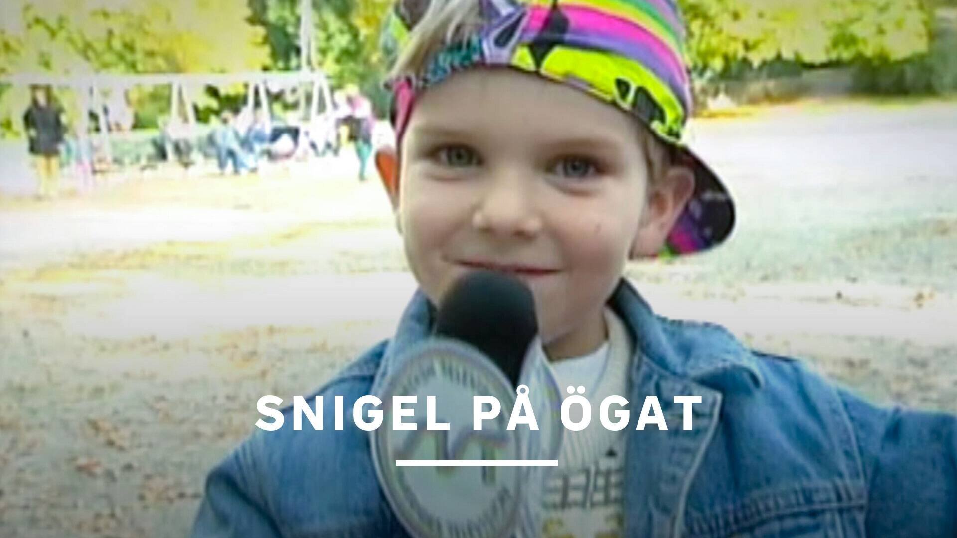 Snigel på ögat