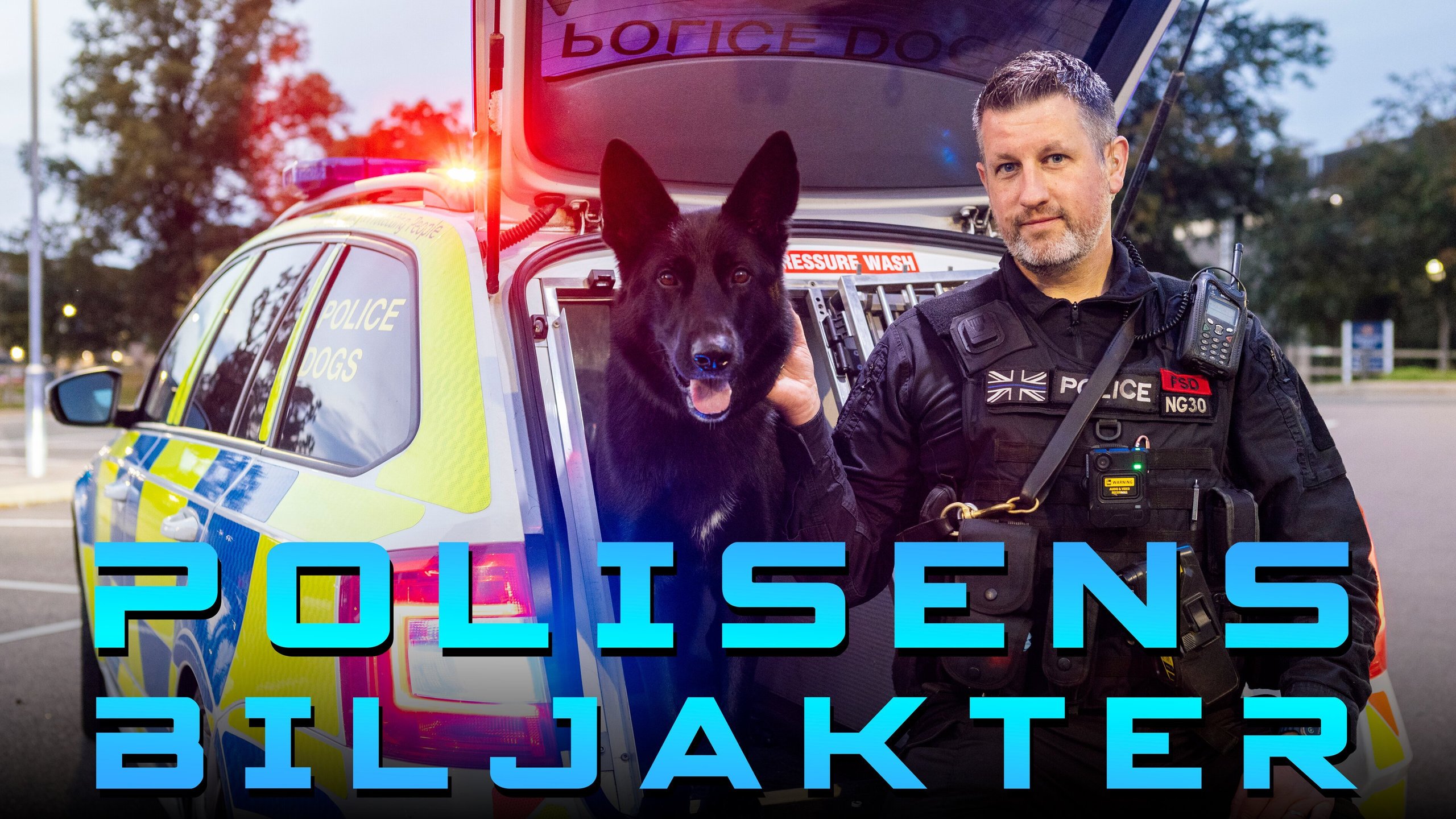 Polisens biljakter