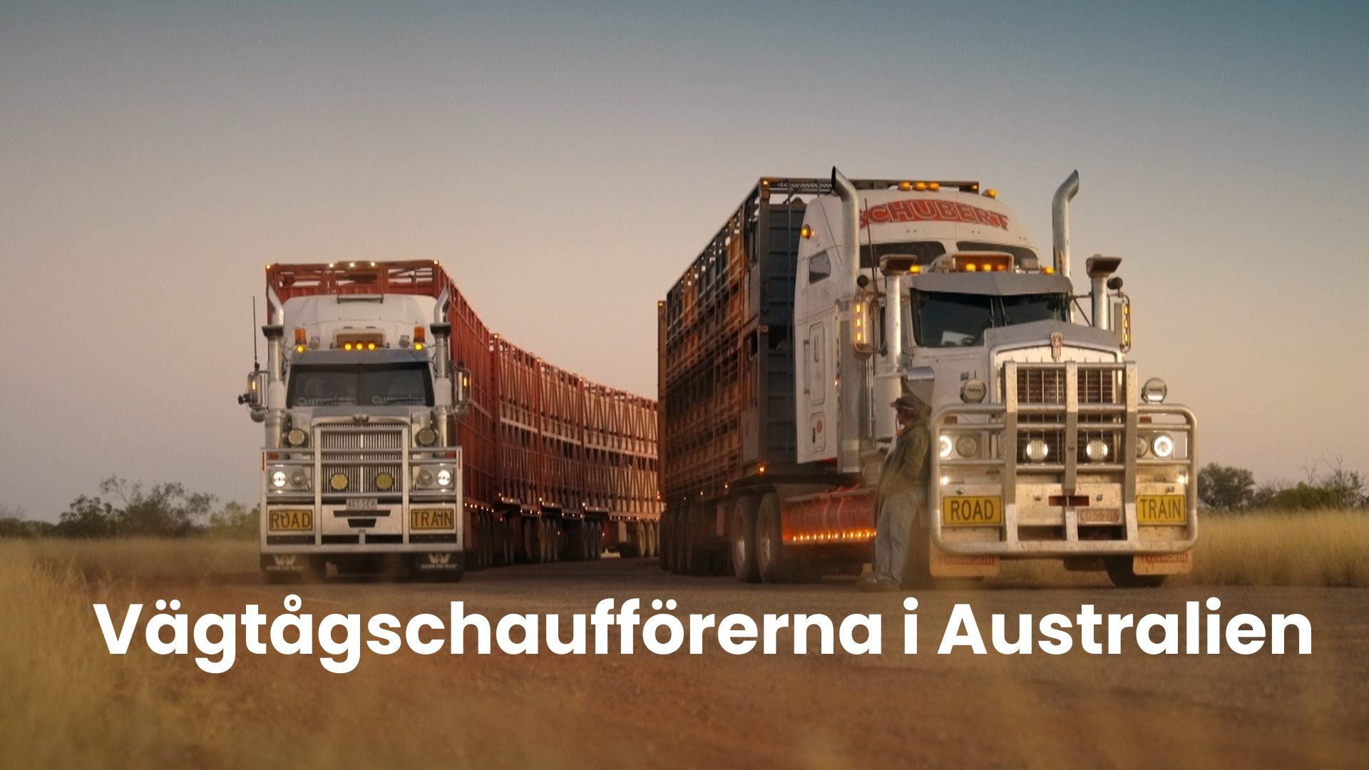 Vägtågschaufförerna i Australien