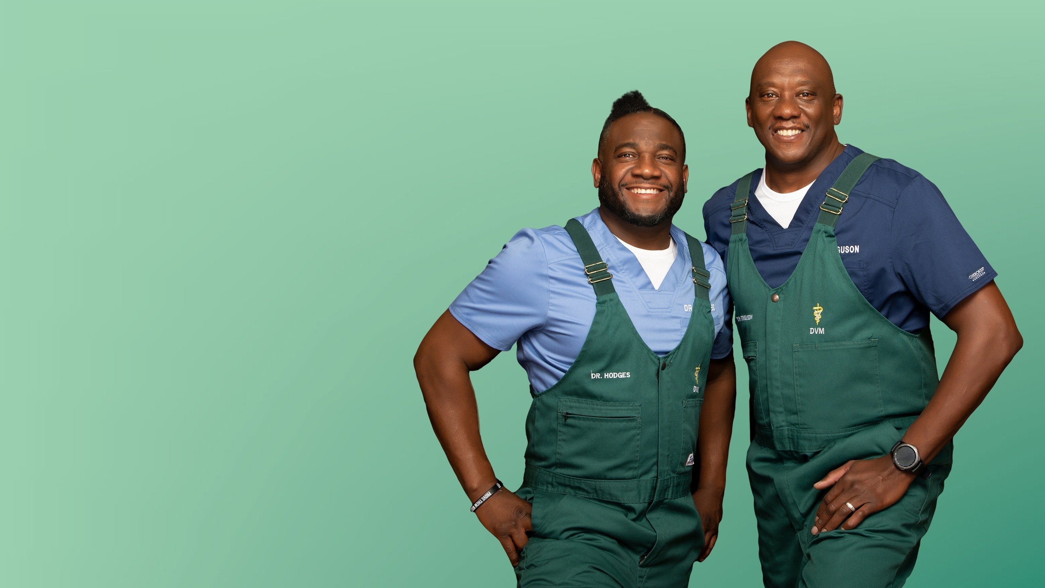 Critter Fixers: Landsortsveterinärerna