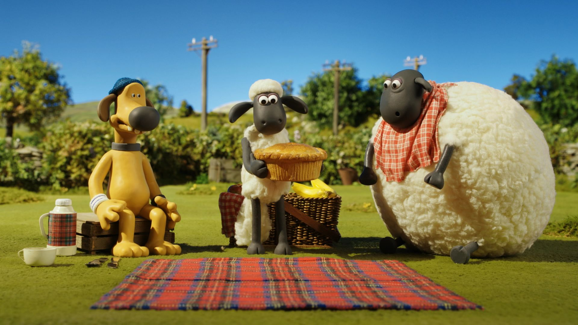 11. Picnic