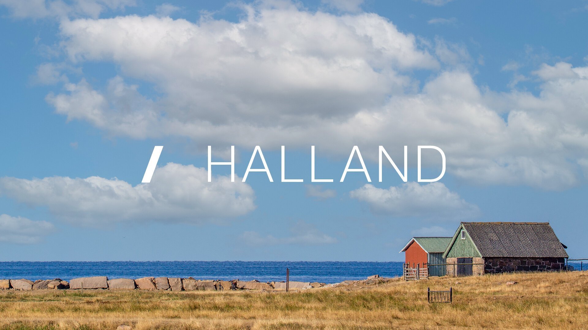 SVT Nyheter Halland