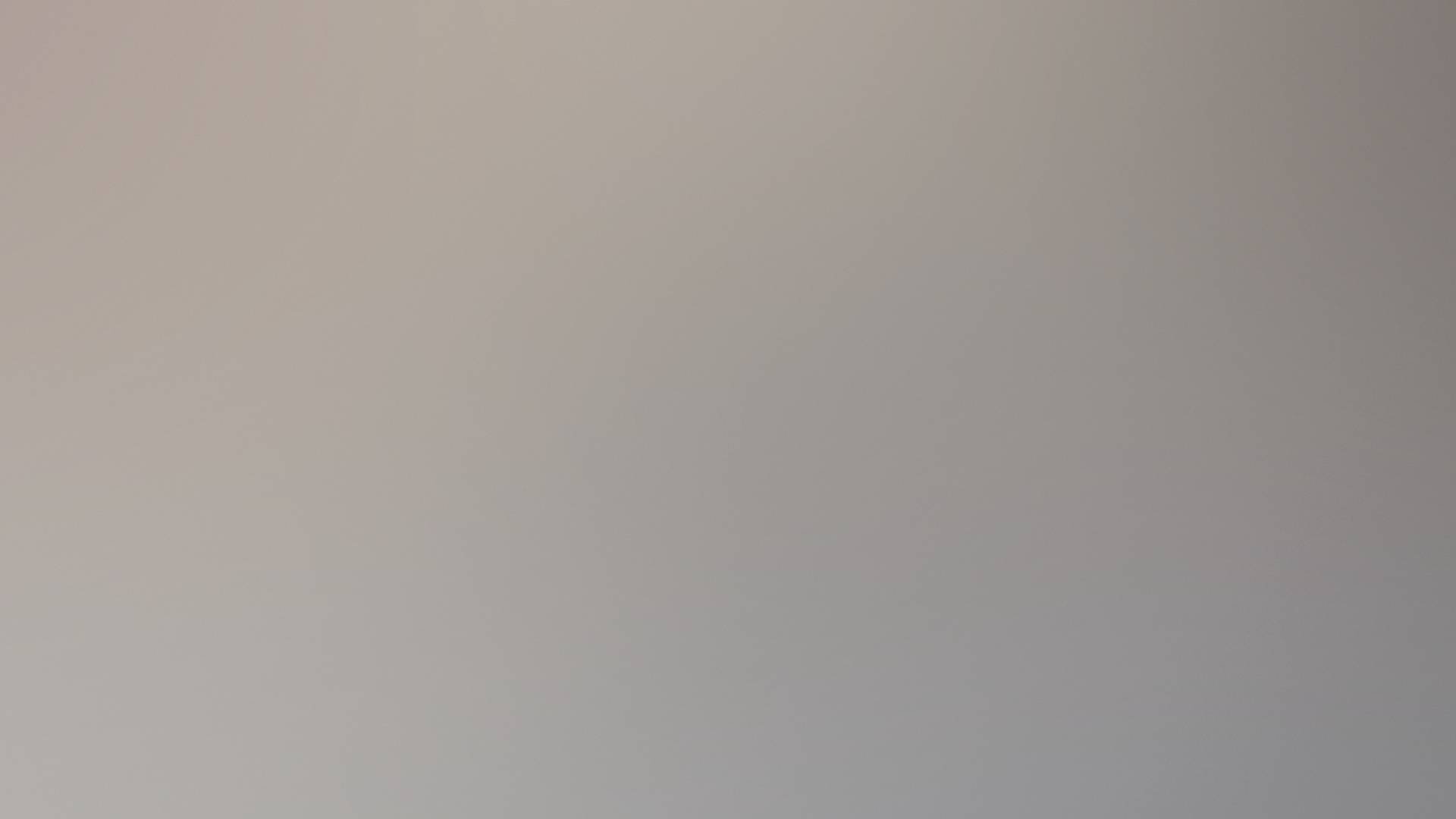 Donald Trump talar utanför Kapitolium 6 januari 2021