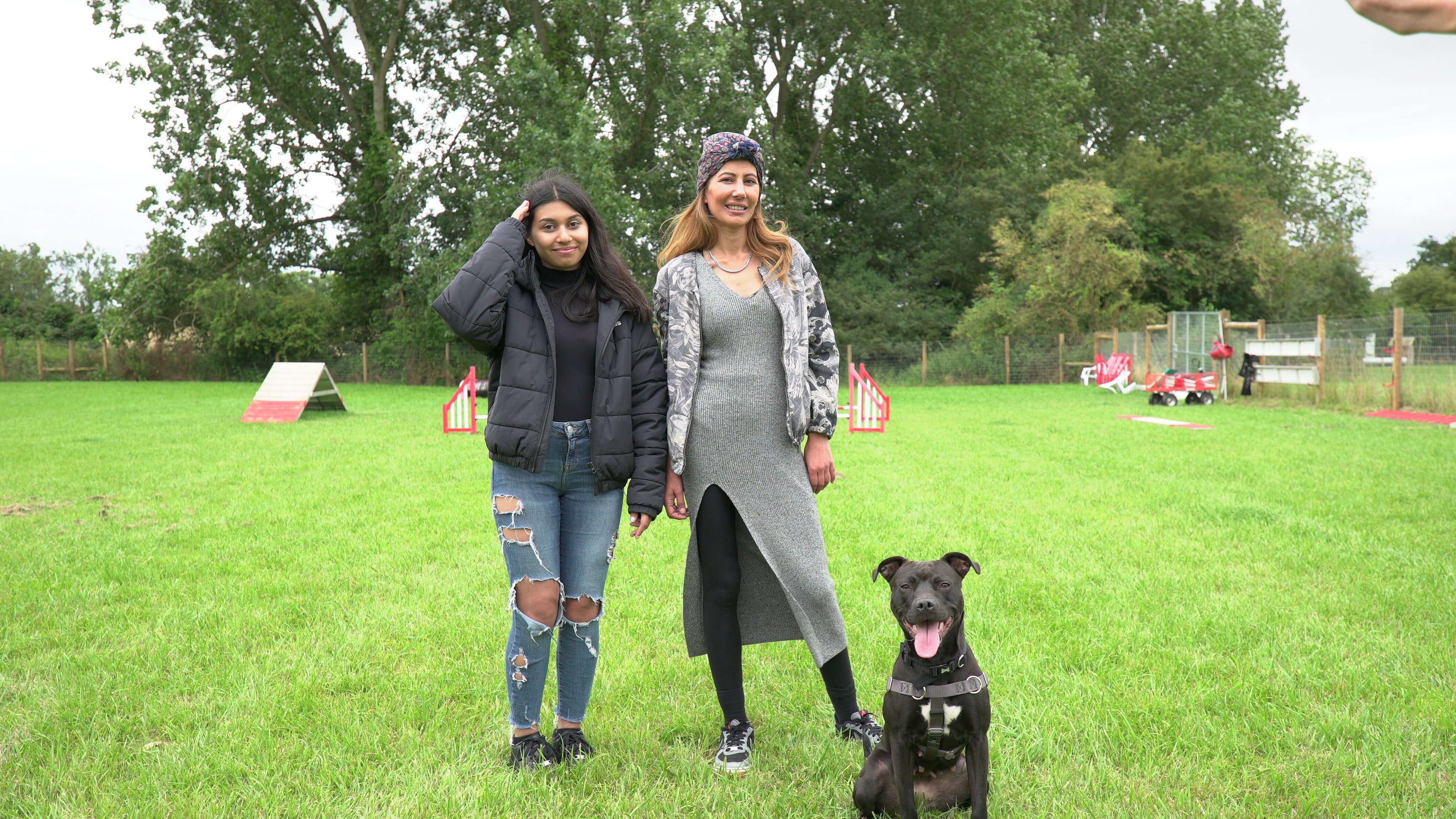 18. Marley: The Bullish Bull Terrier