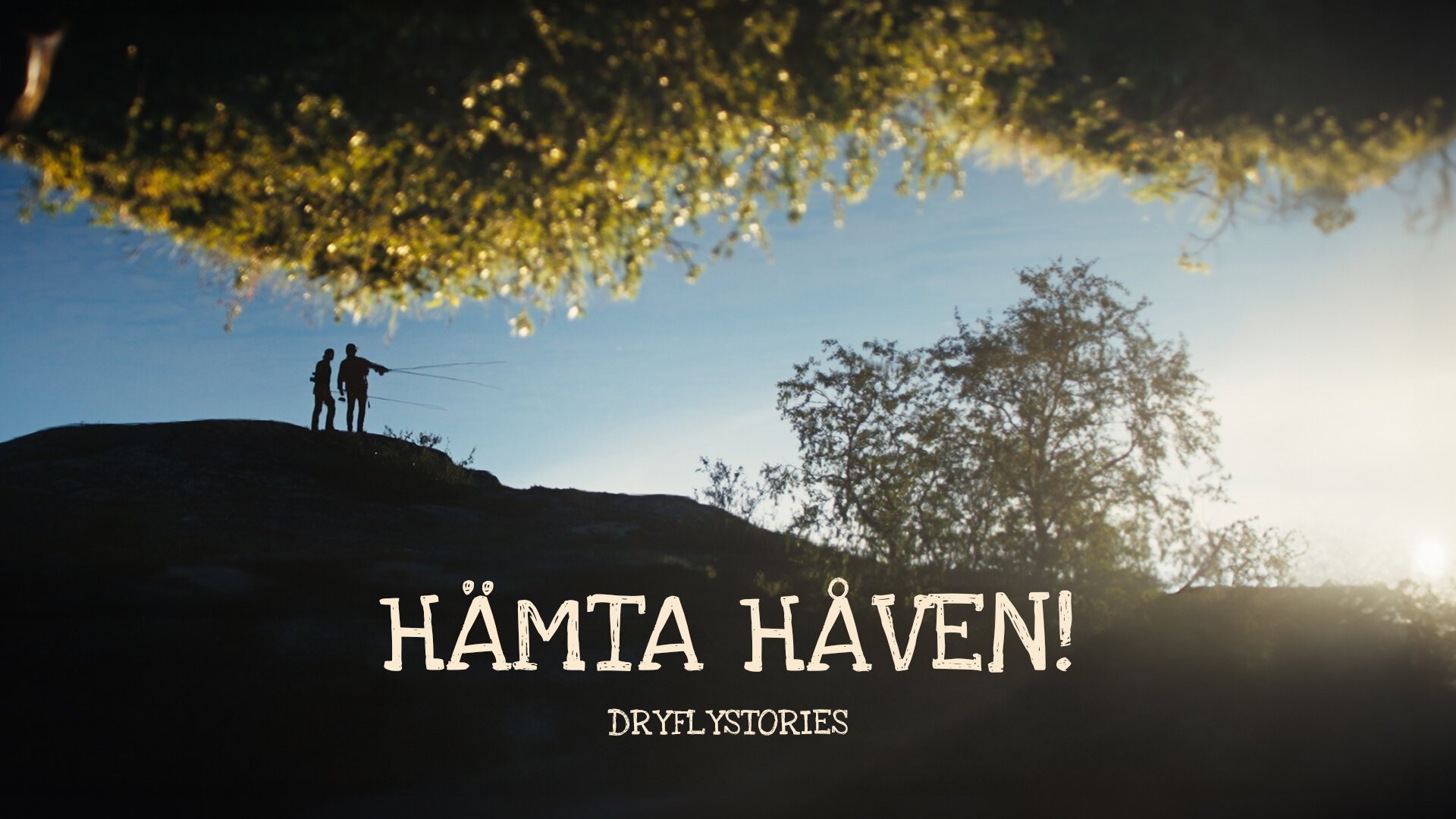 Dryflystories - Hämta håven