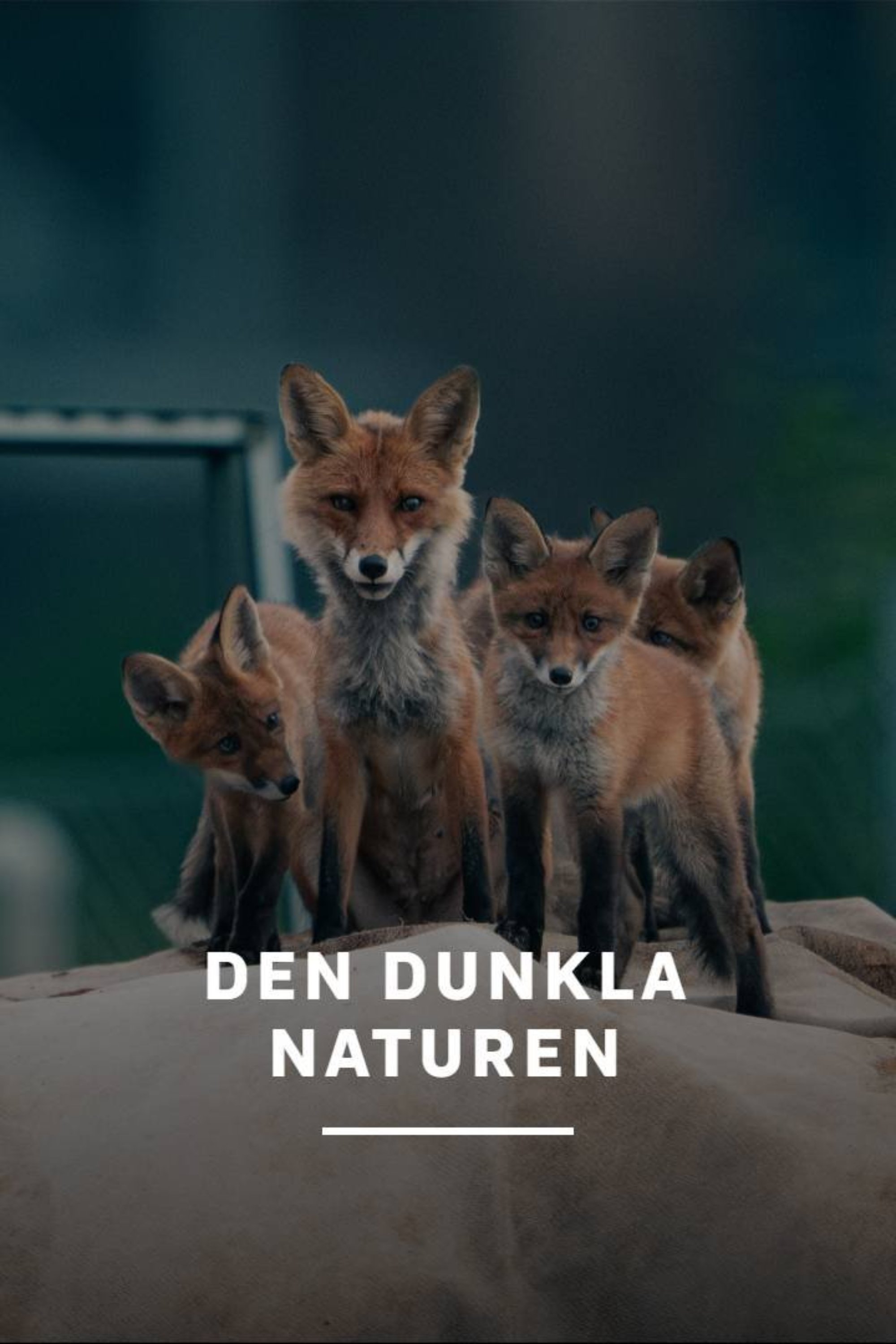 Den dunkla naturen