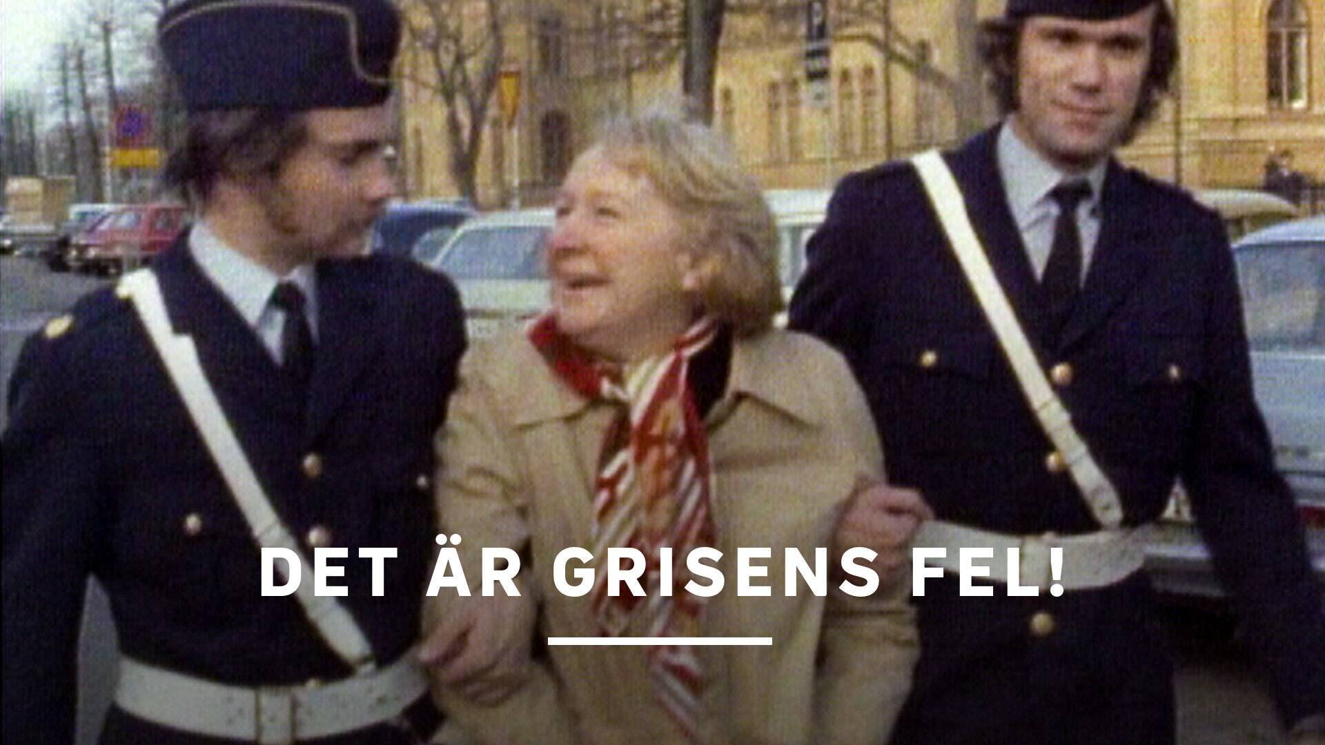 Det är grisens fel!