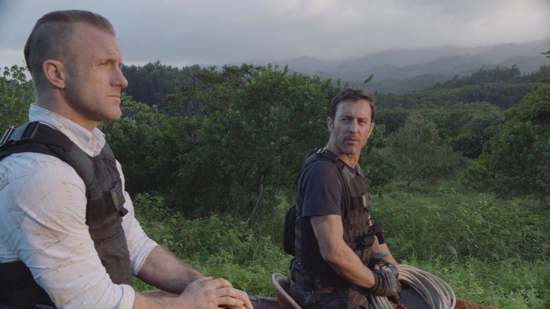 19. E ho'i na keiki oki uaua o na pali