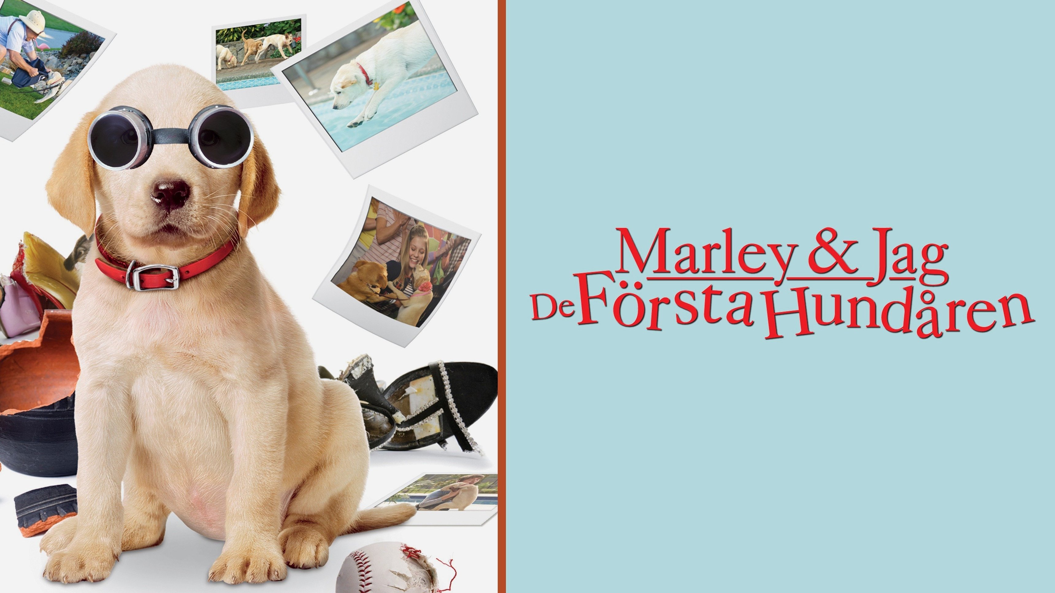 Marley & jag - De första hundåren