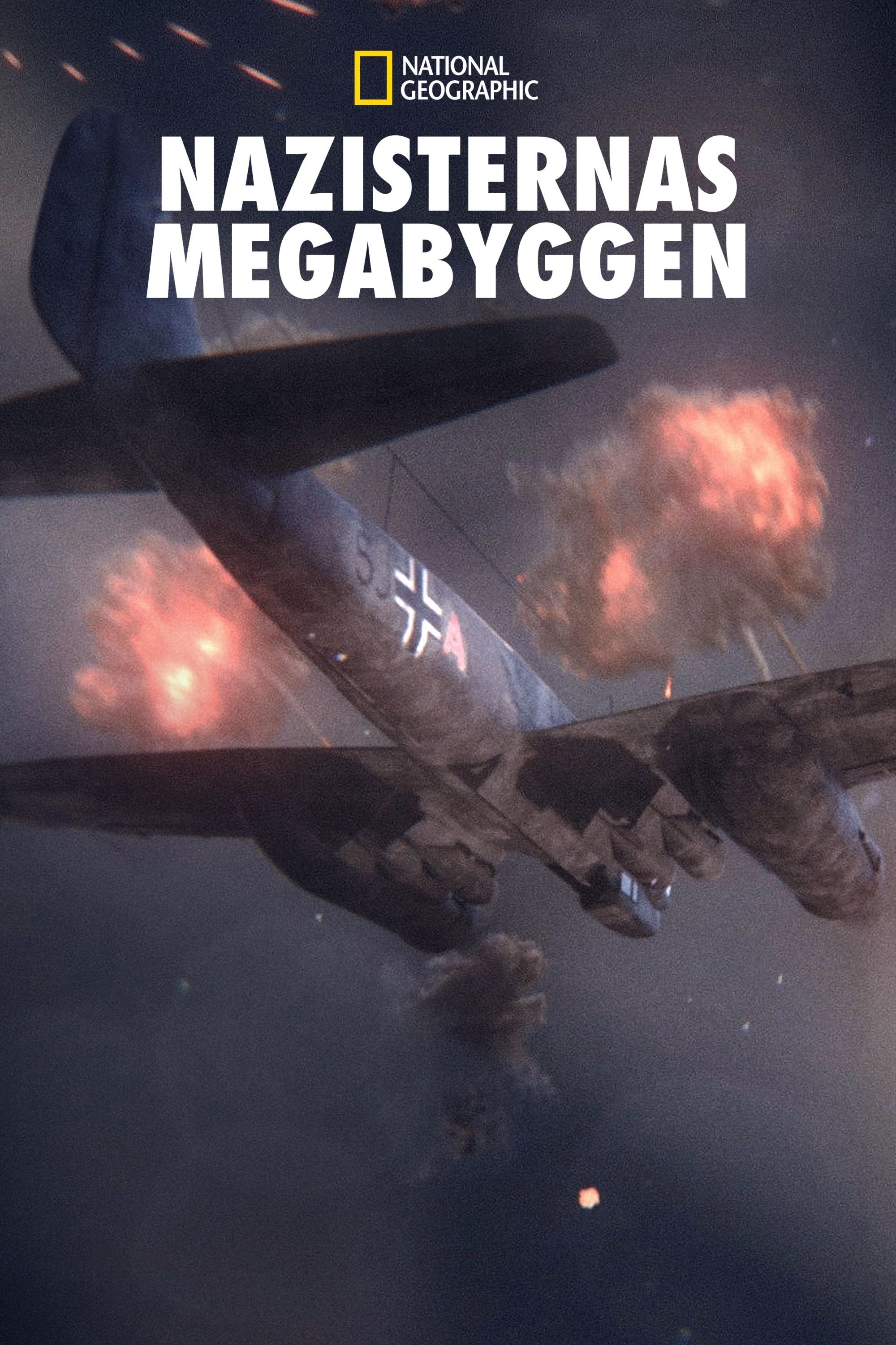 Nazisternas megabyggen