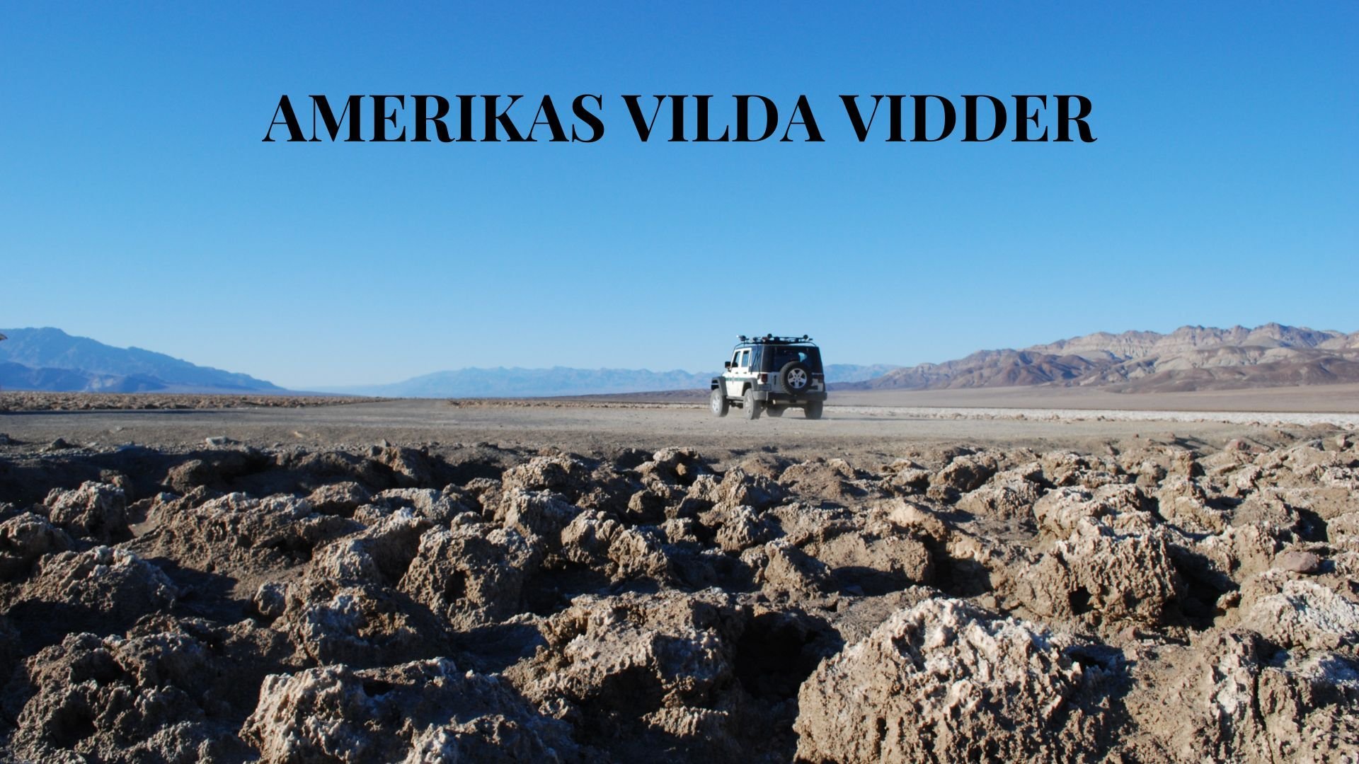 Amerikas vilda vidder