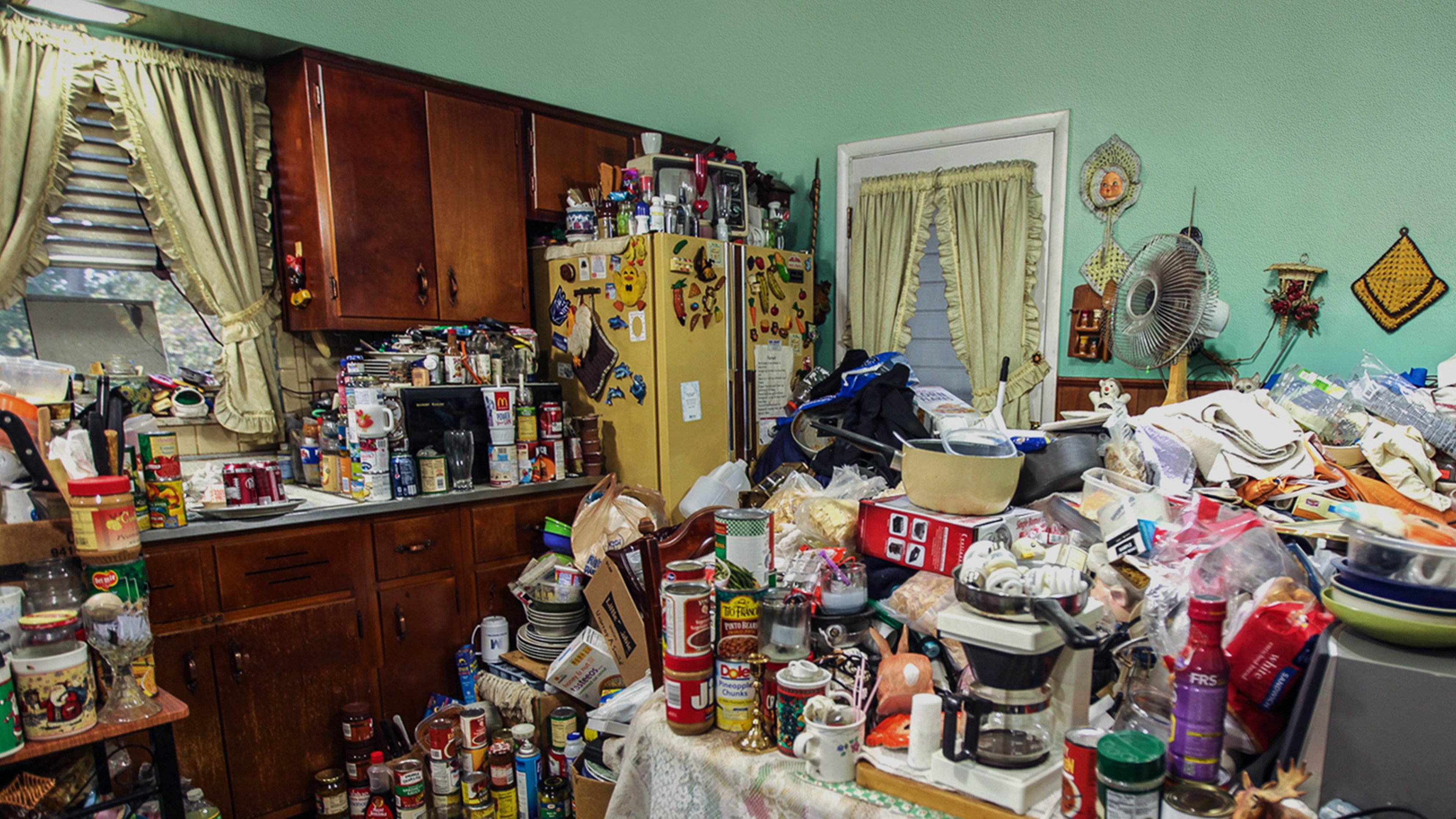 Hoarding: Buried Alive