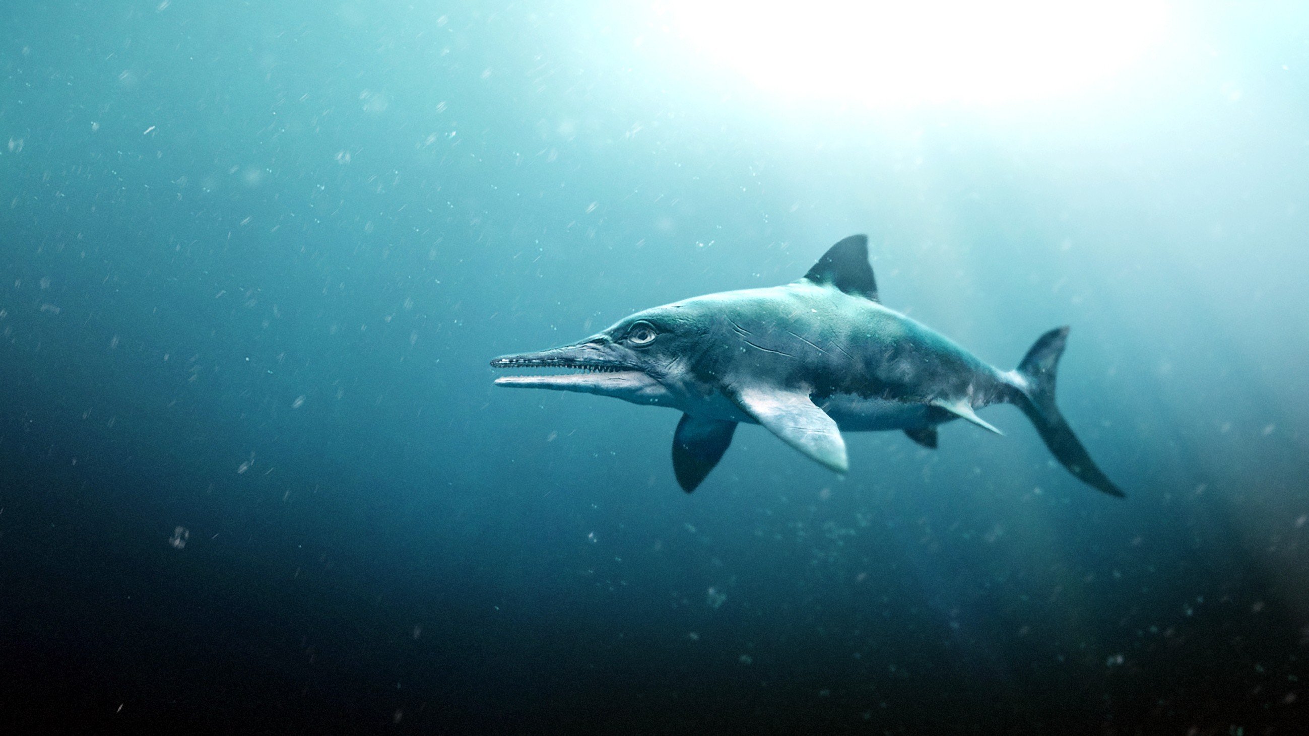 Attenborough and the Sea Dragon