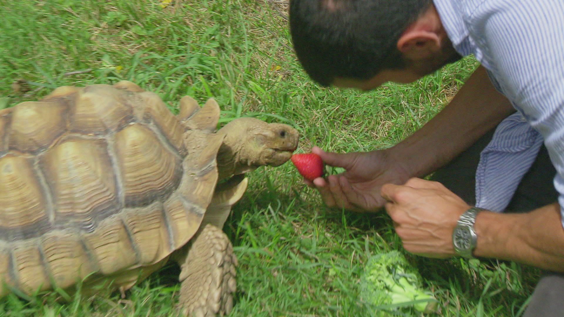 8. Million Dollar Listing: New York S09 E008