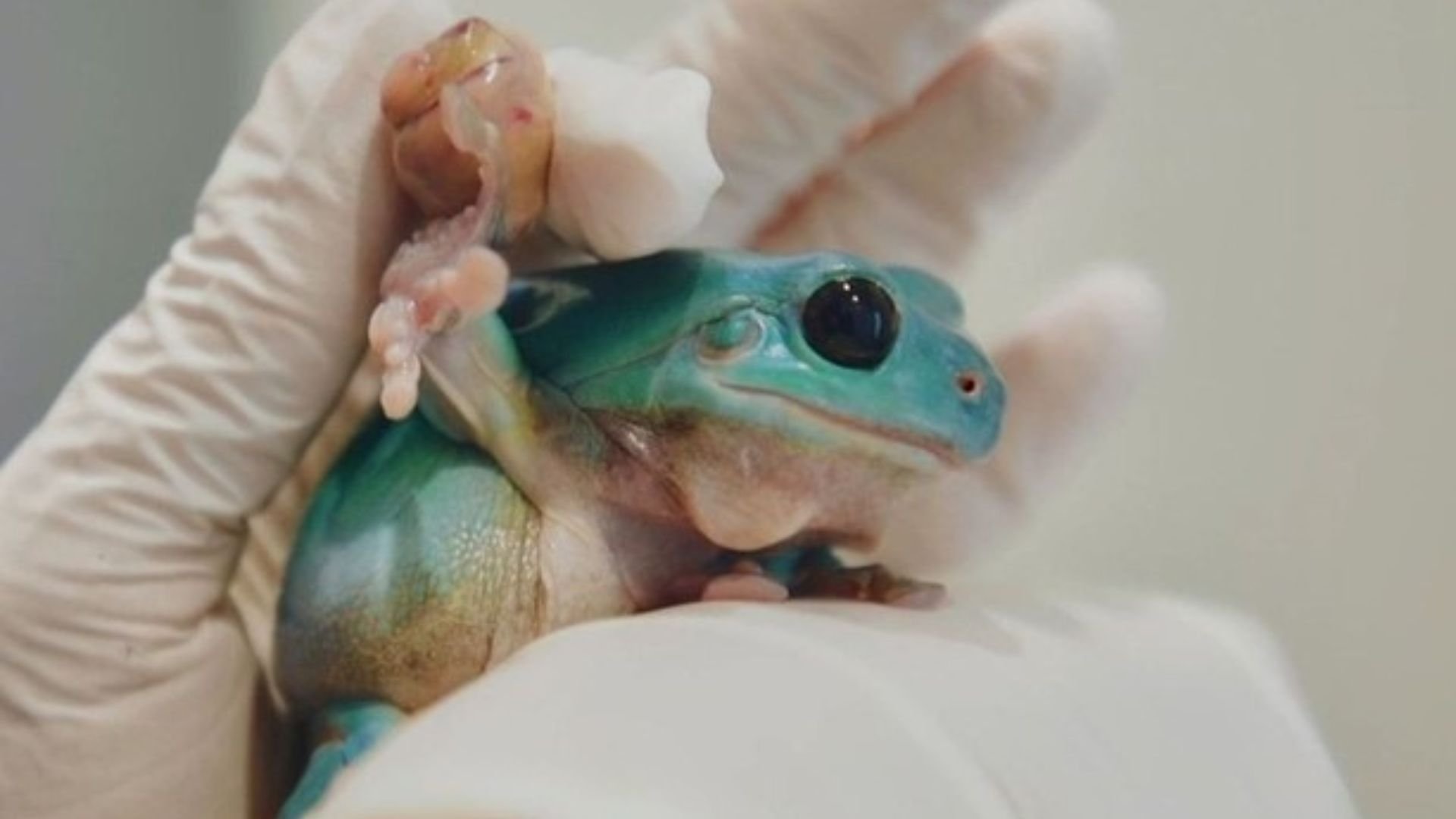 5. Bumping Up Against Challenges