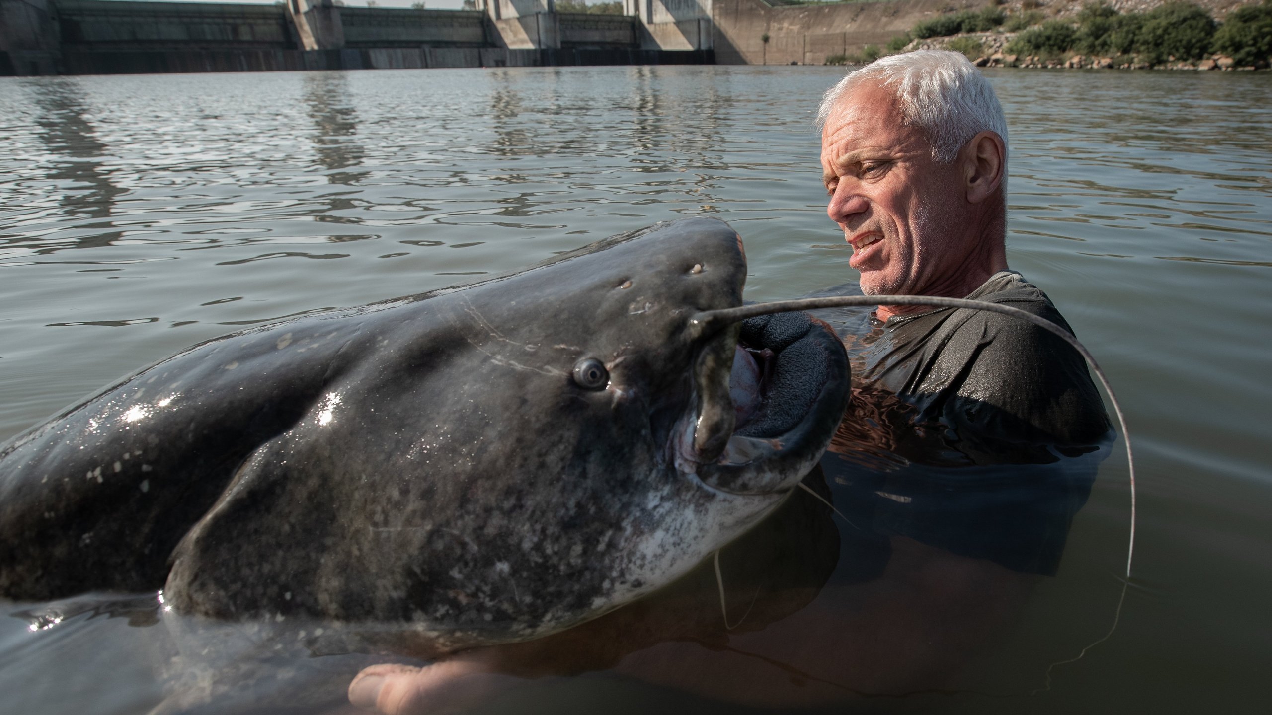 1. Italy's Lake Monster