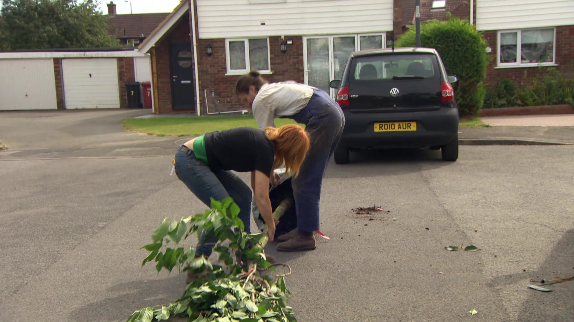 34. Garden Rescue S05 E034