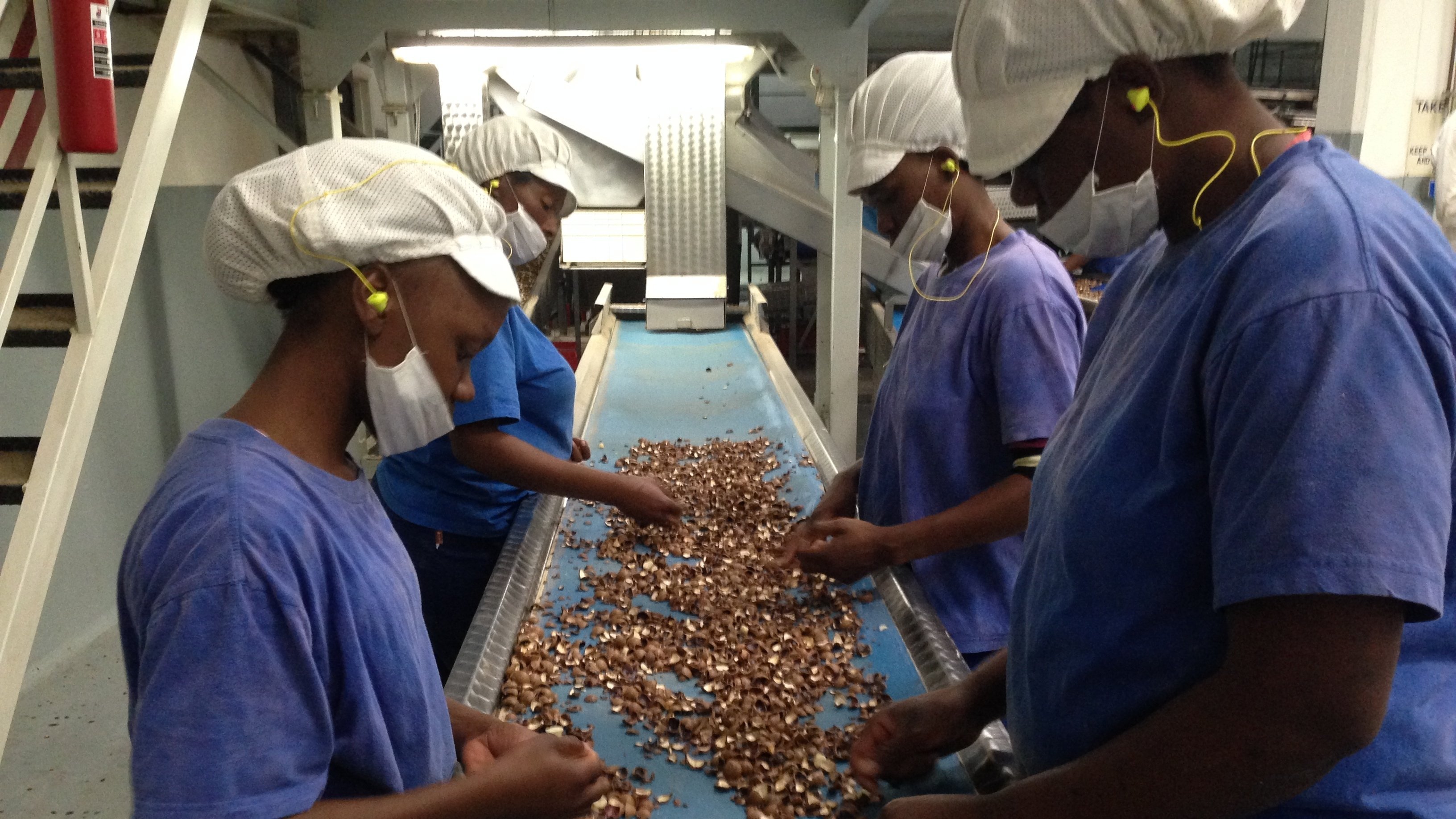 13. Macadamia Nuts, Tap Water and Crowd Barriers