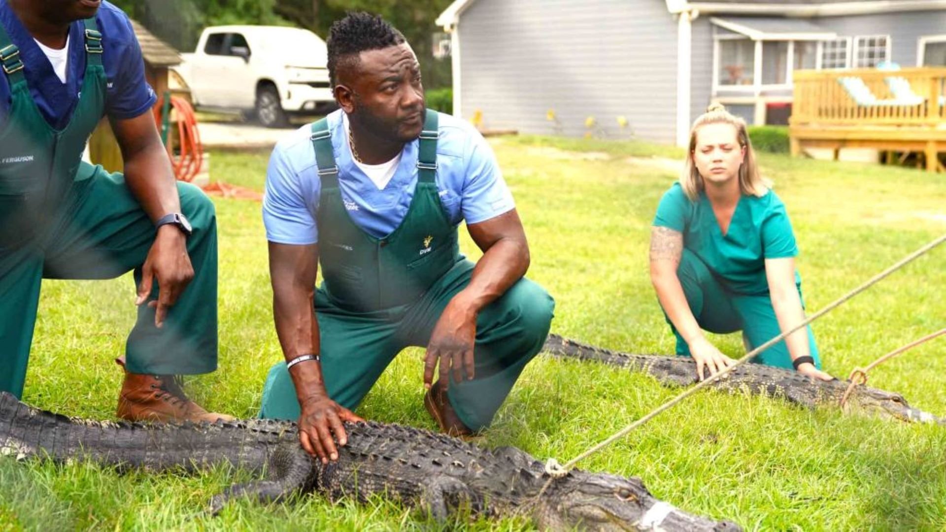 Djurfixarna: Veterinärerna på landet: reptilsäsong 2024
