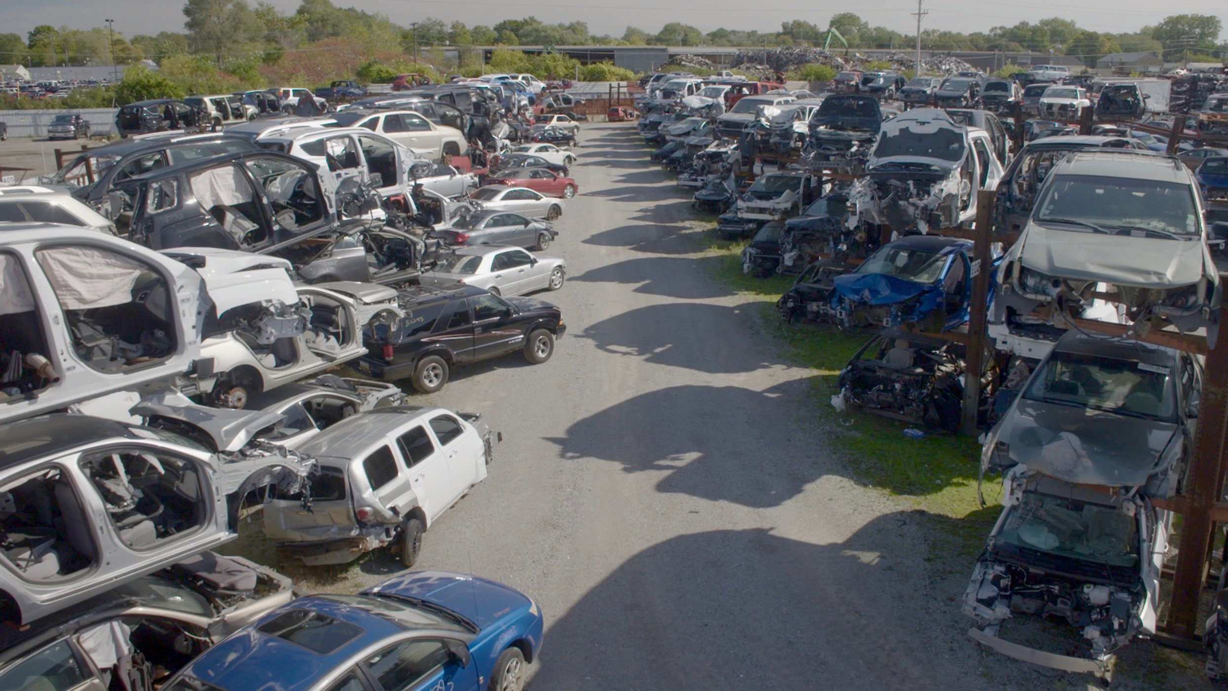 5. Model T To Mustangs